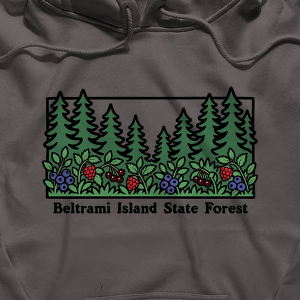 Beltrami Island State Forest Hoodie