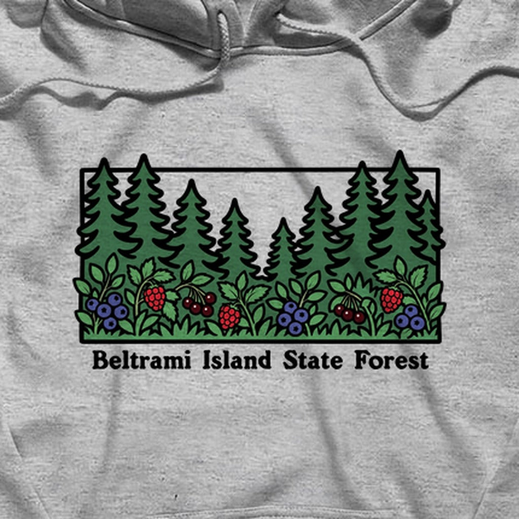 Beltrami Island State Forest Hoodie