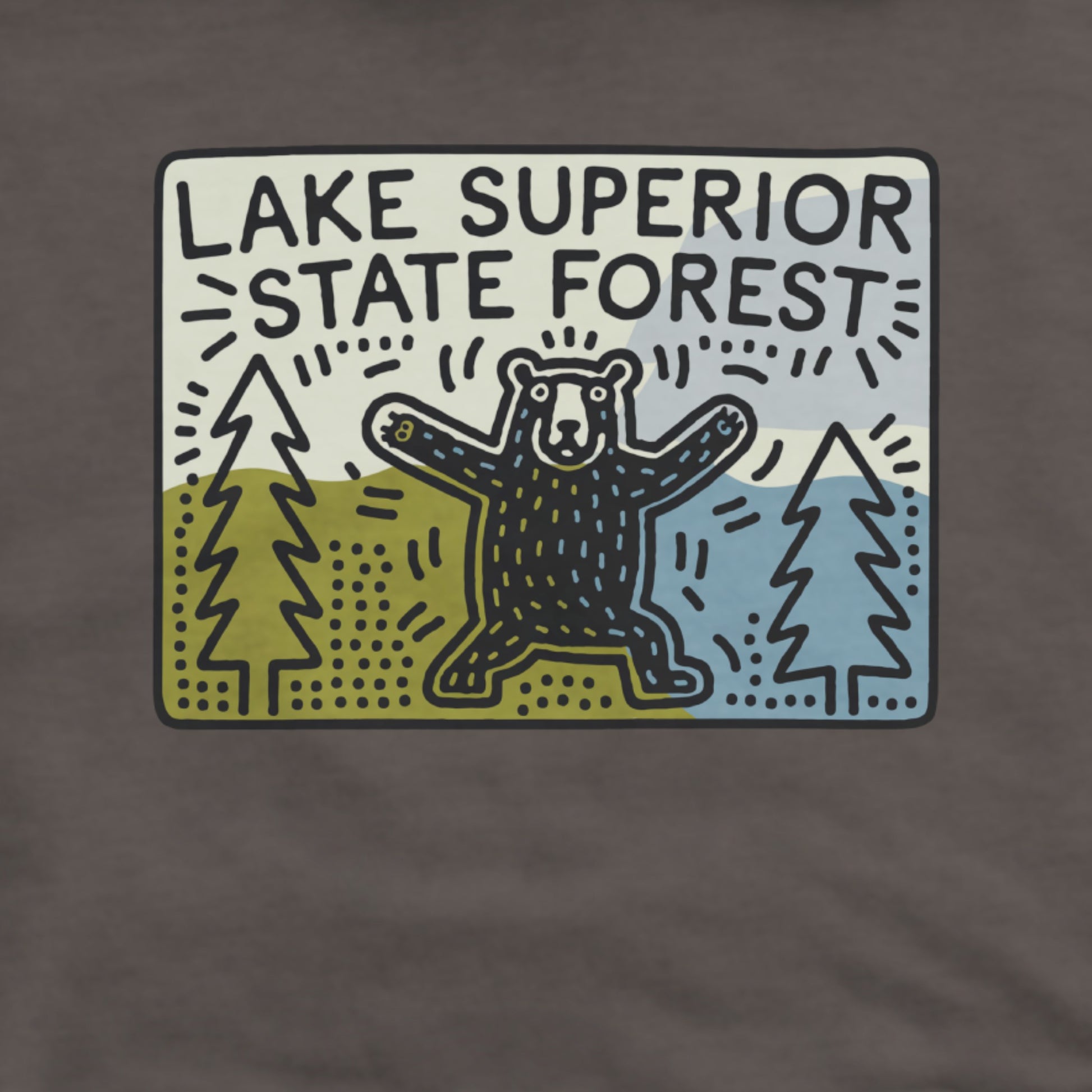 Lake Superior State Forest Hoodie Adventure and Outdoors Themed Hoodie