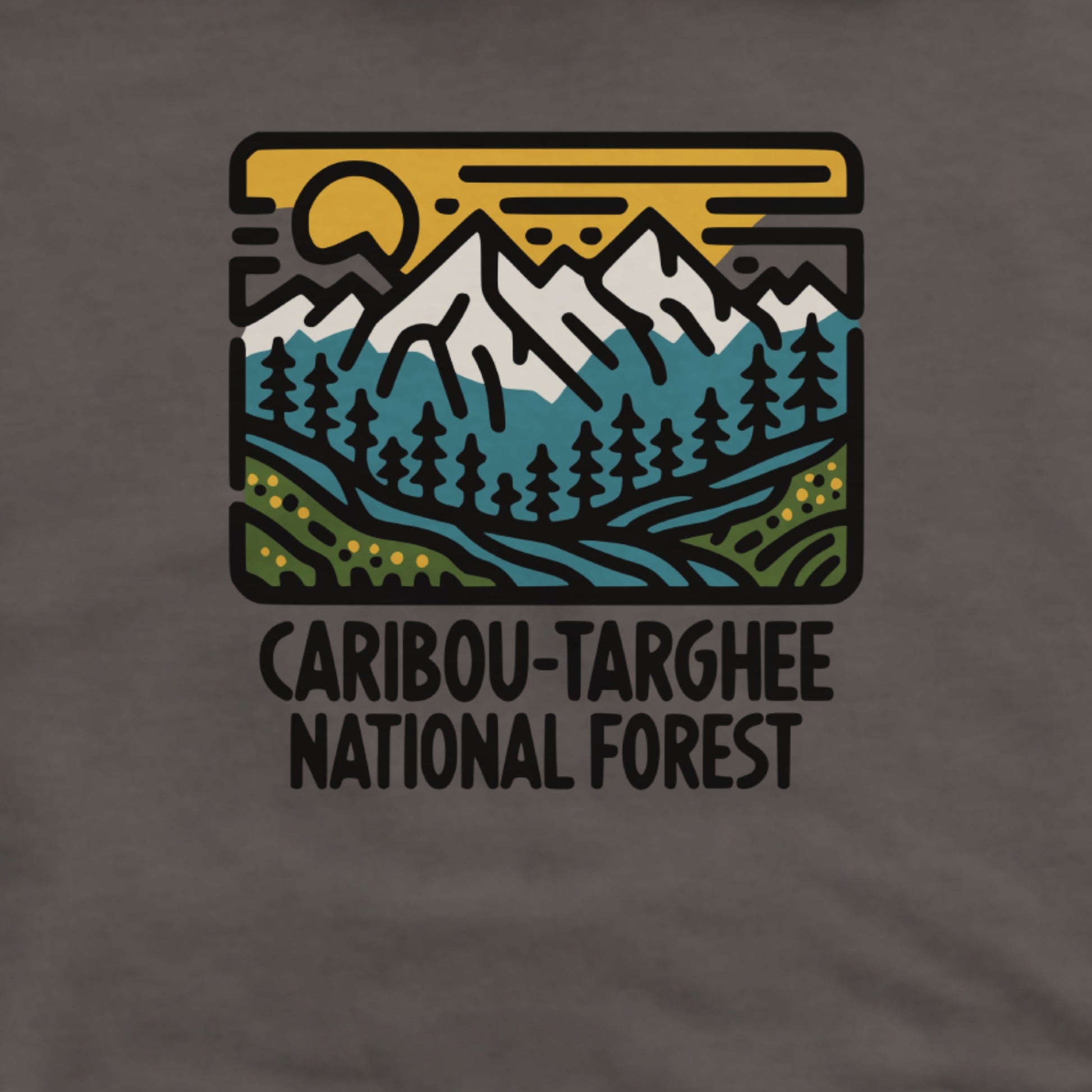 Caribou-Targhee National Forest Hoodie Adventure and Outdoors Themed Hoodie