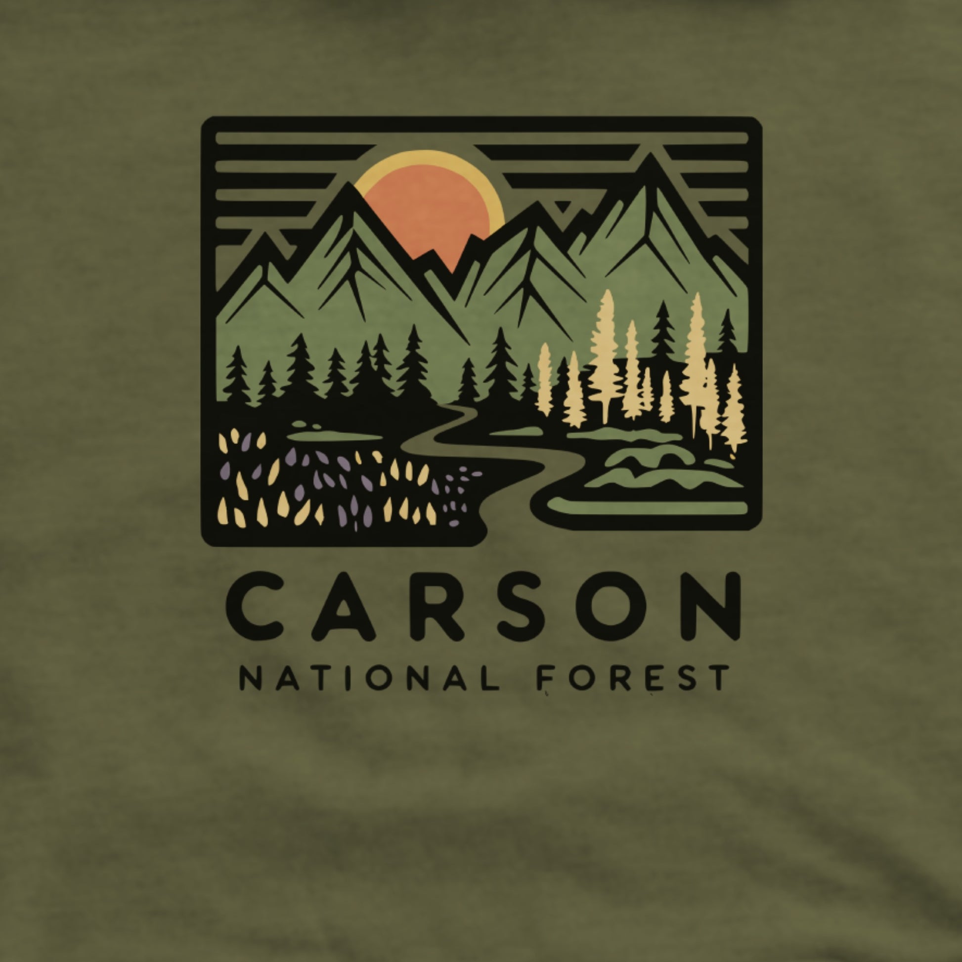 Carson National Forest Hoodie Adventure and Outdoors Themed Hoodie