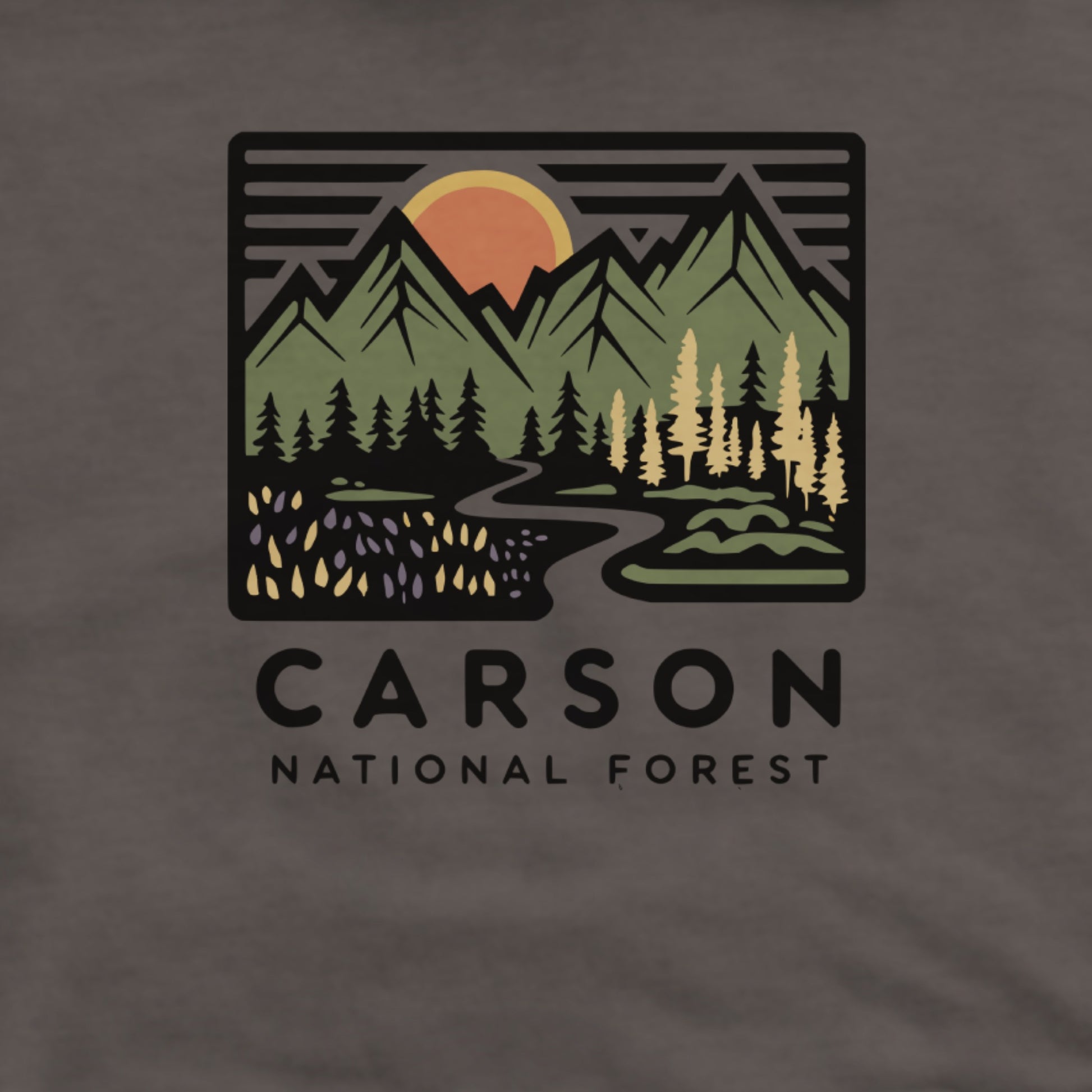 Carson National Forest Hoodie Adventure and Outdoors Themed Hoodie