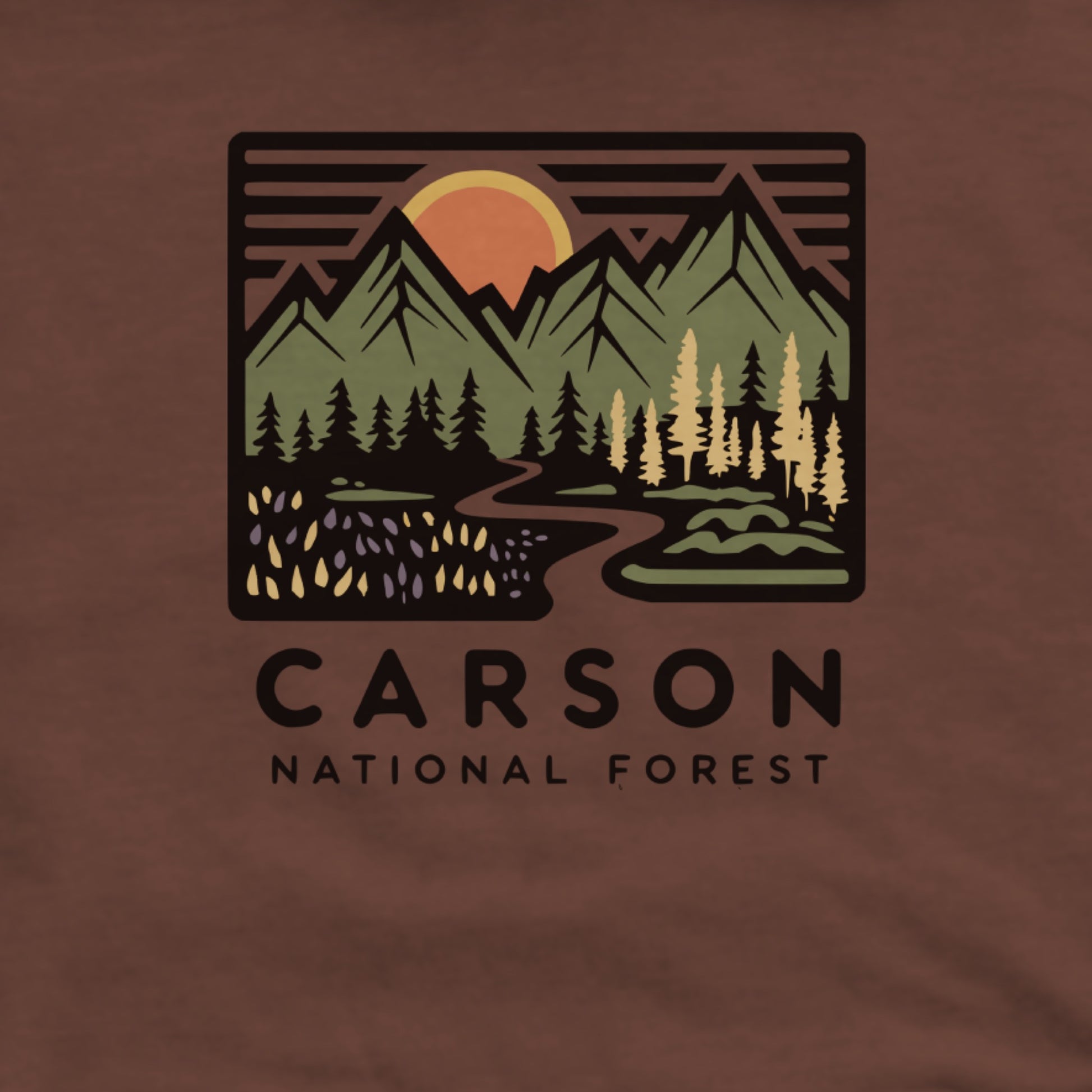 Carson National Forest Hoodie Adventure and Outdoors Themed Hoodie