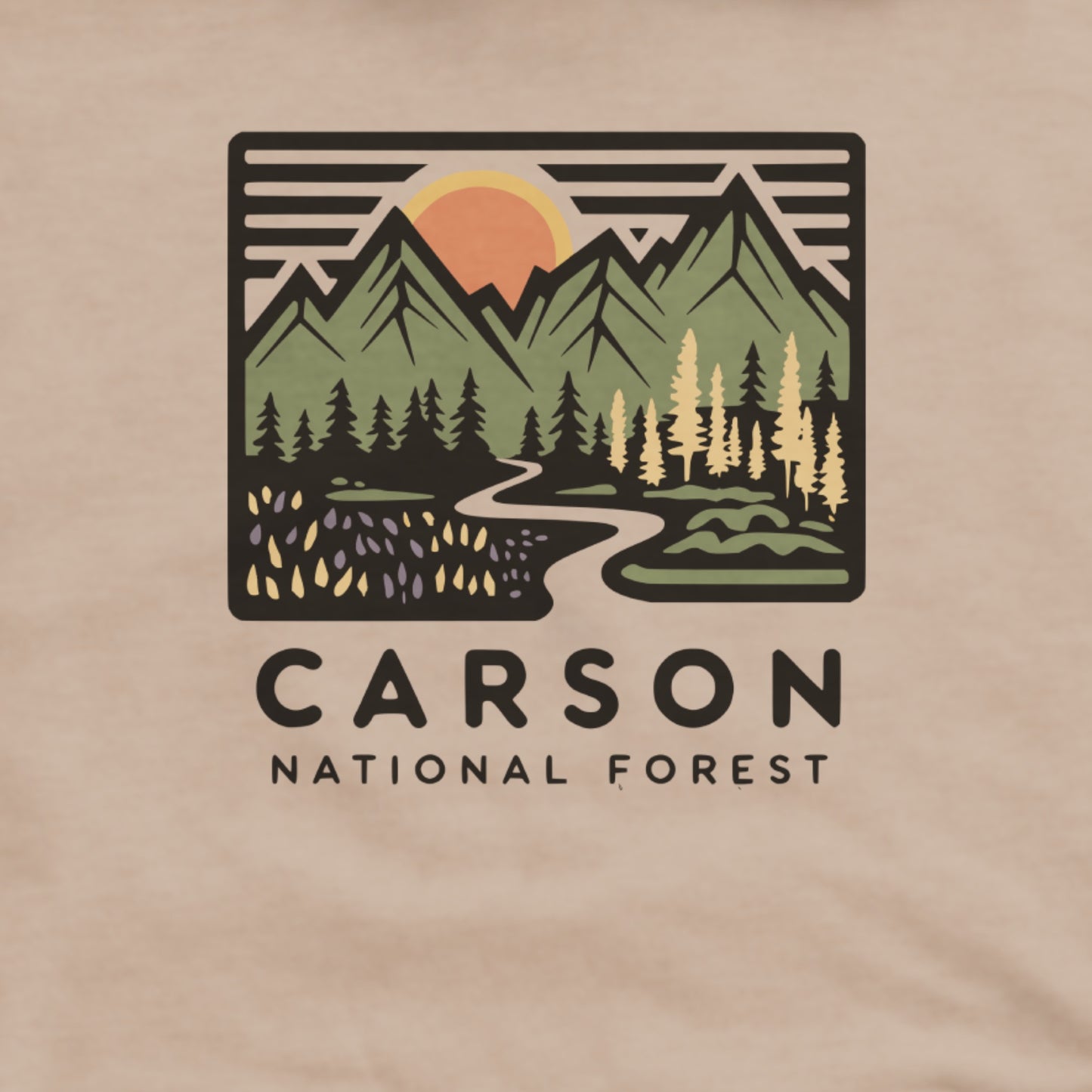 Carson National Forest Hoodie Adventure and Outdoors Themed Hoodie