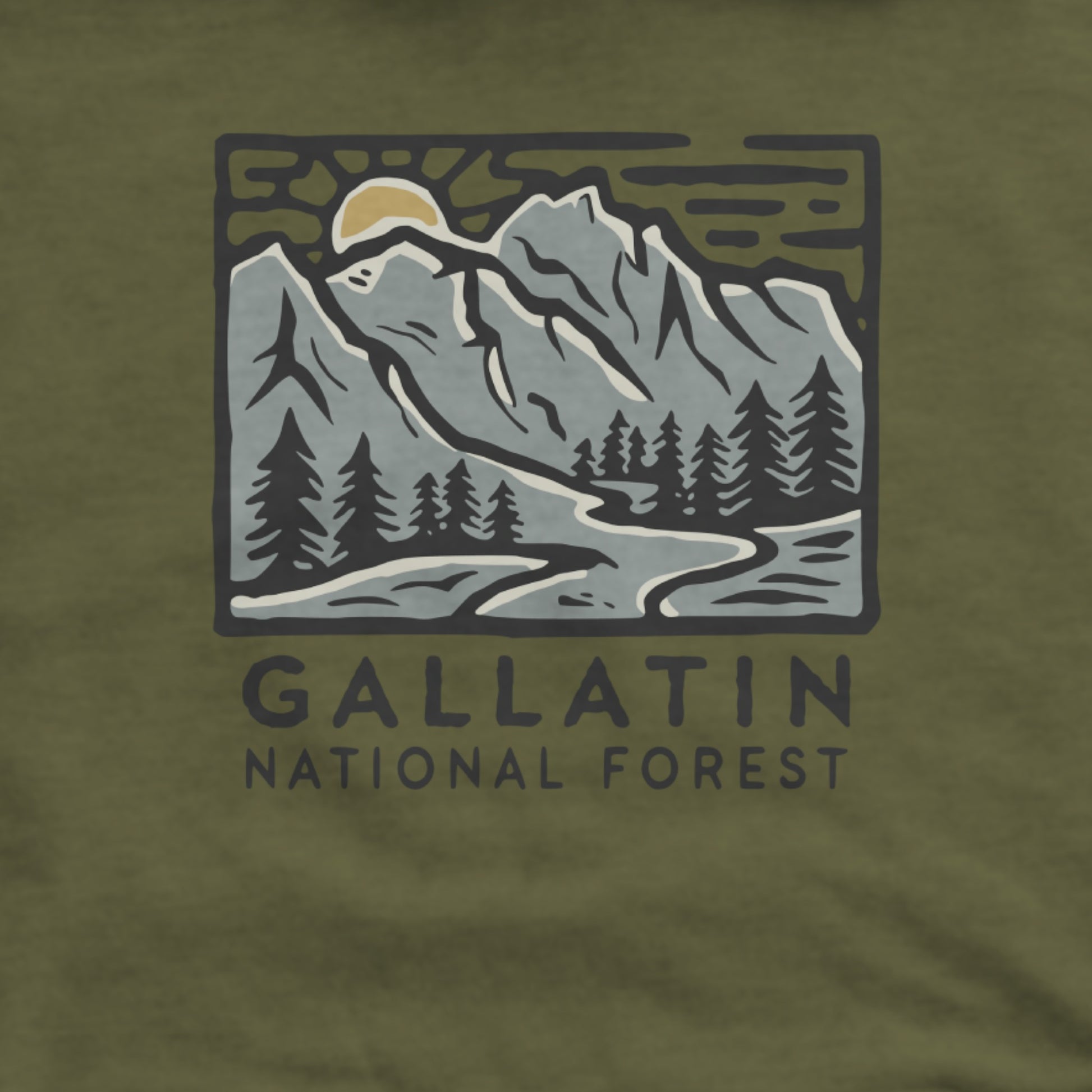 Gallatin National Forest Hoodie Adventure and Outdoors Themed Hoodie