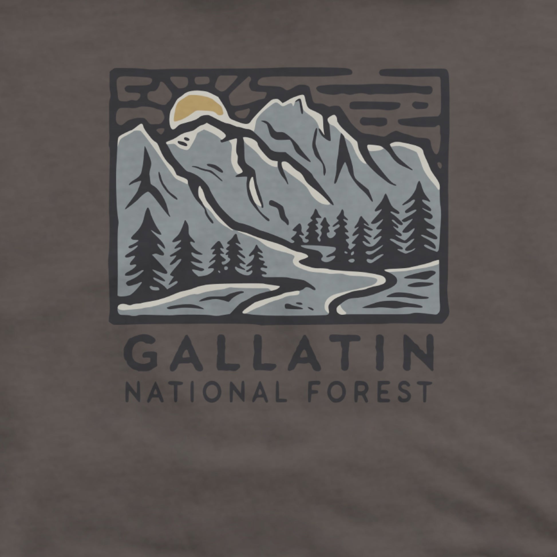 Gallatin National Forest Hoodie Adventure and Outdoors Themed Hoodie