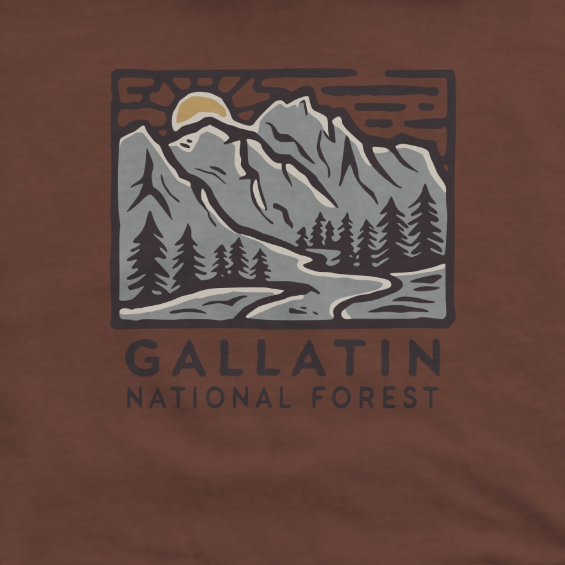 Gallatin National Forest Hoodie Adventure and Outdoors Themed Hoodie