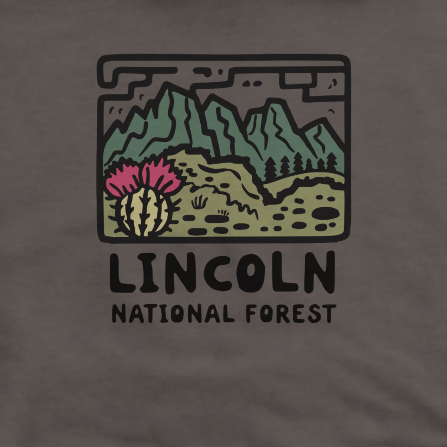 Lincoln National Forest Hoodie Adventure and Outdoors Themed Hoodie
