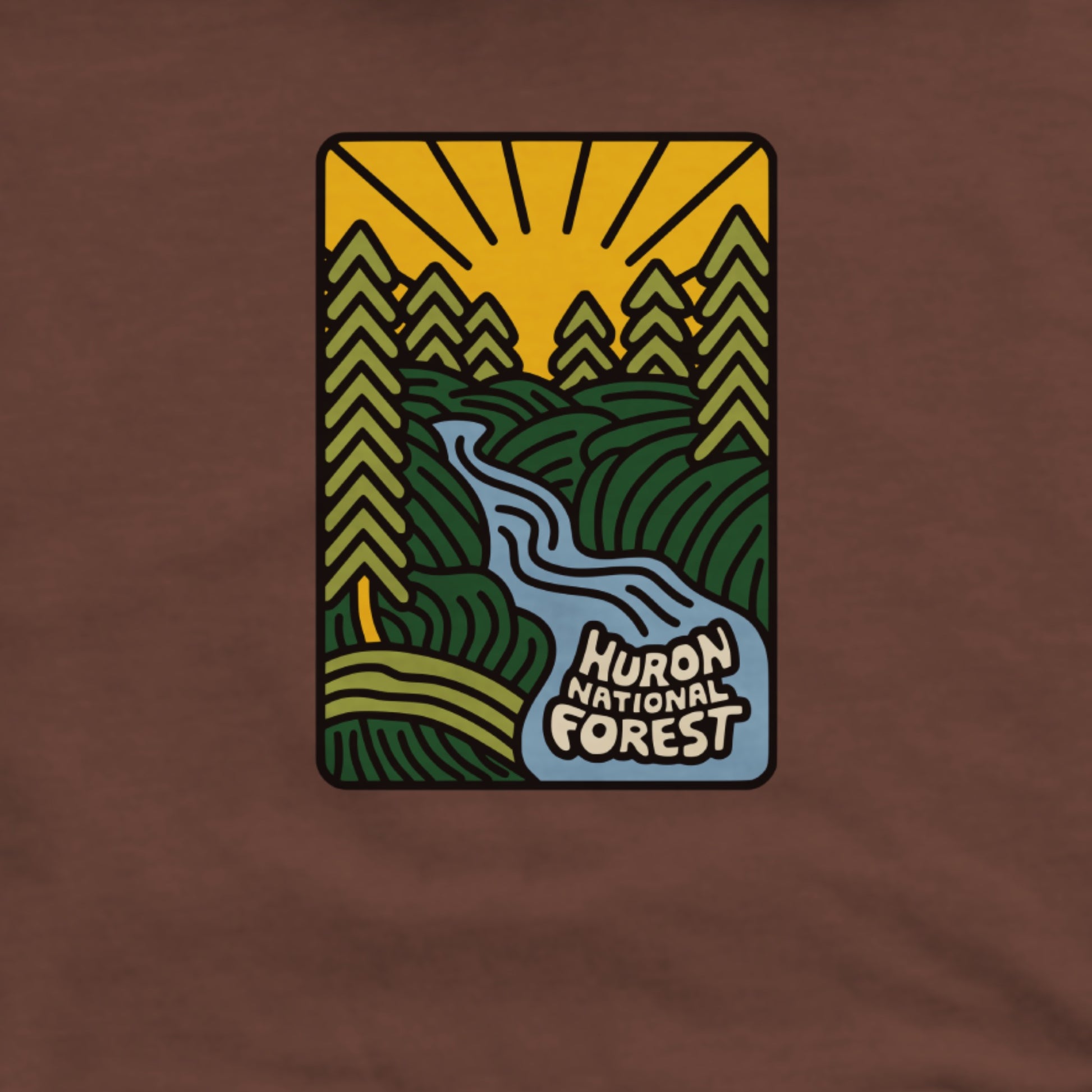 Huron National Forest Hoodie Adventure and Outdoors Themed Hoodie