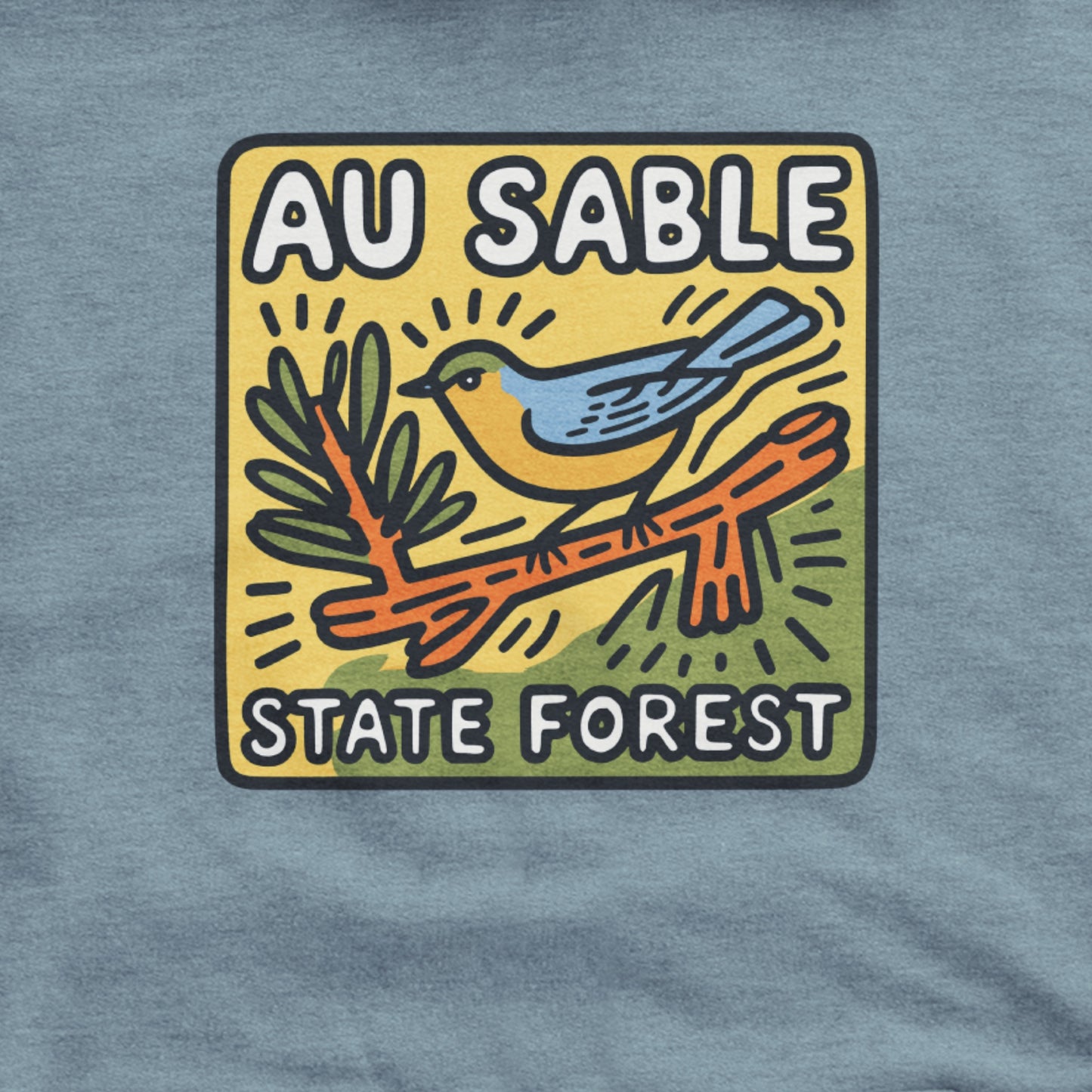 Au Sable State Forest Hoodie Adventure and Outdoors Themed Hoodie