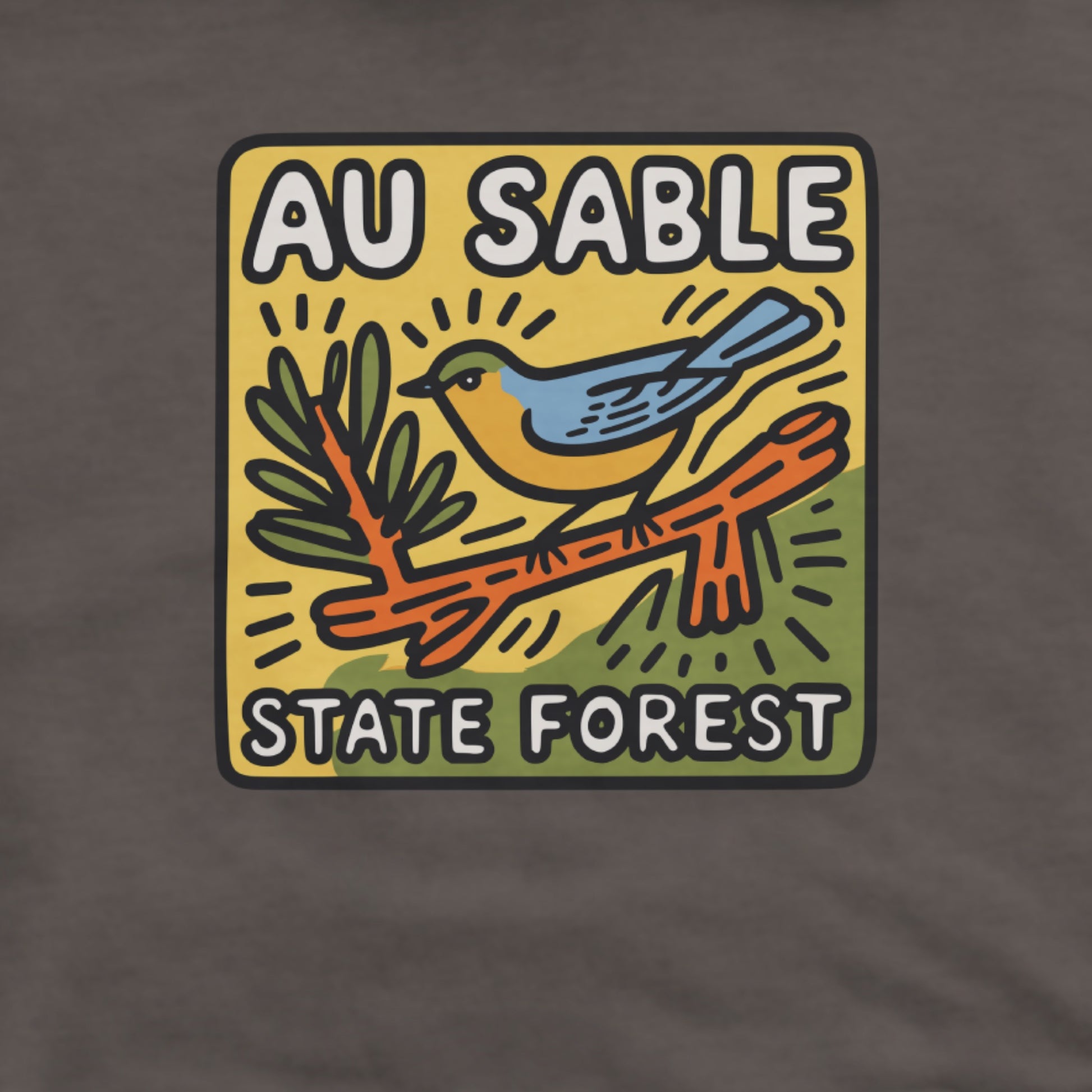 Au Sable State Forest Hoodie Adventure and Outdoors Themed Hoodie