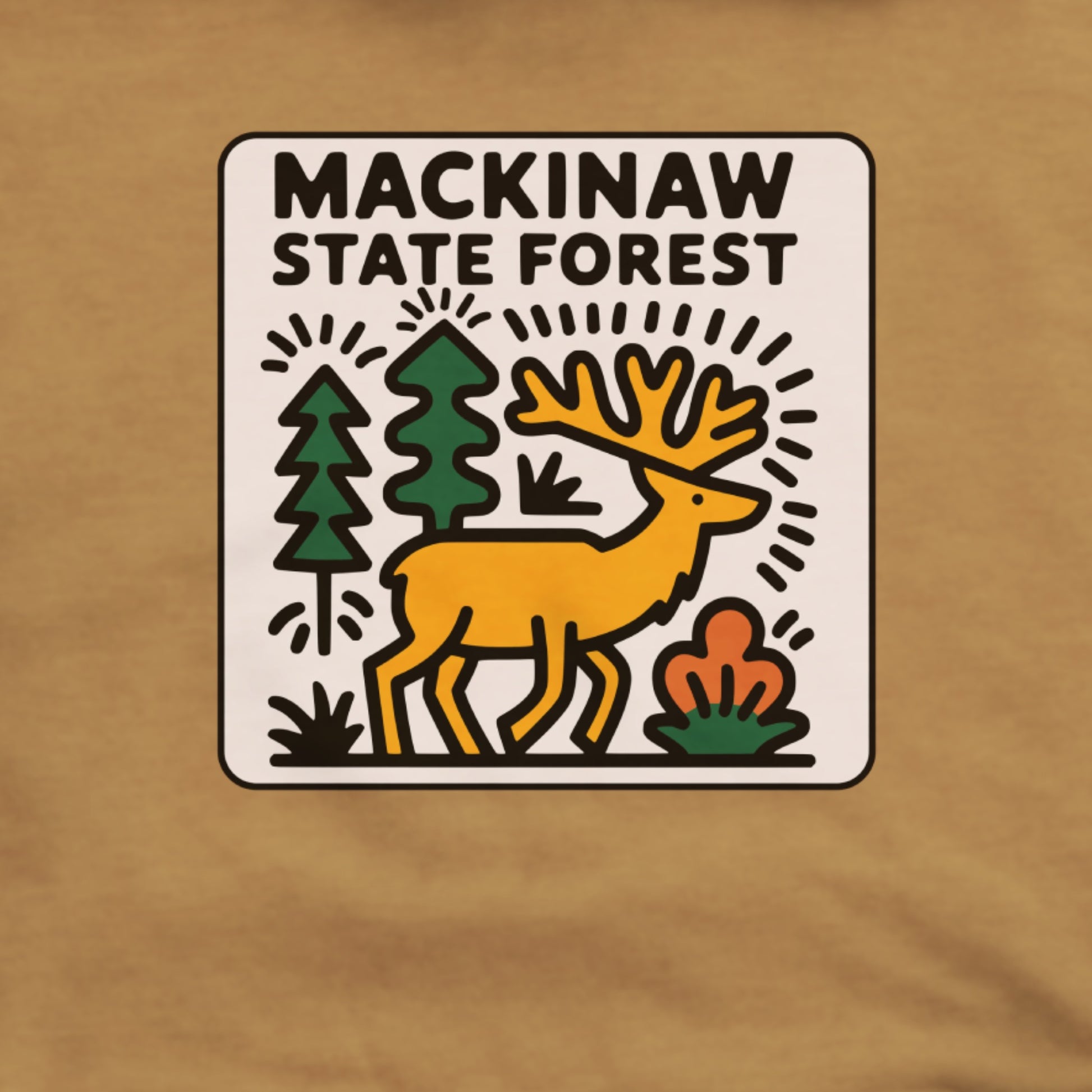 Mackinaw State Forest Hoodie Adventure and Outdoors Themed Hoodie