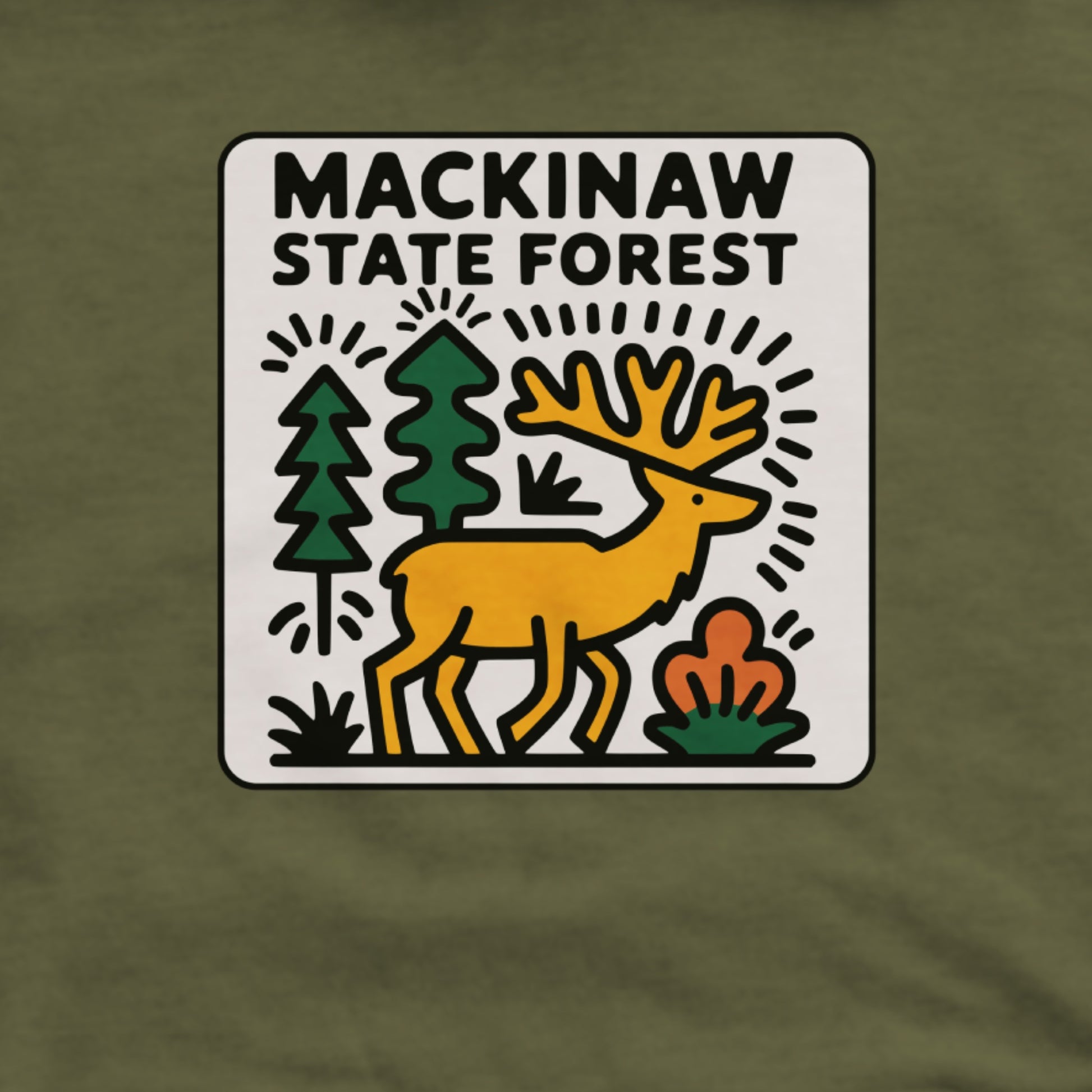 Mackinaw State Forest Hoodie Adventure and Outdoors Themed Hoodie