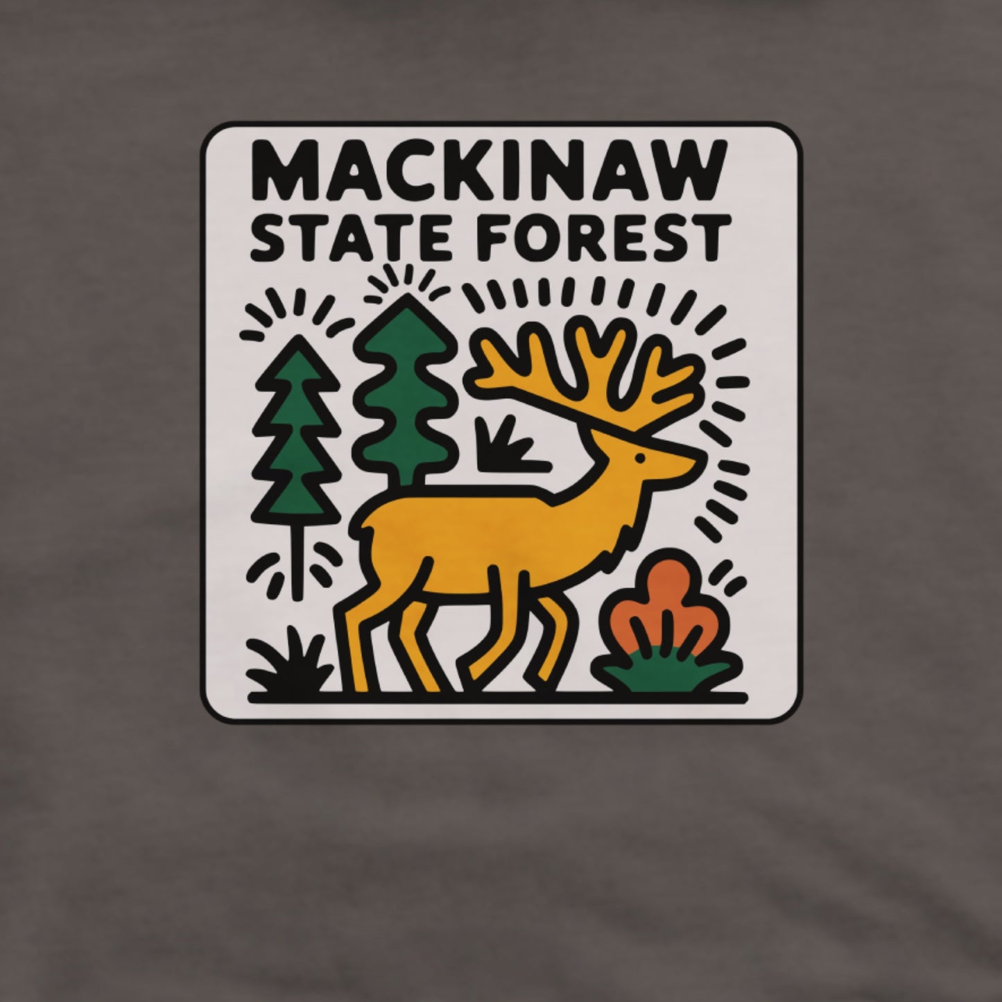 Mackinaw State Forest Hoodie Adventure and Outdoors Themed Hoodie