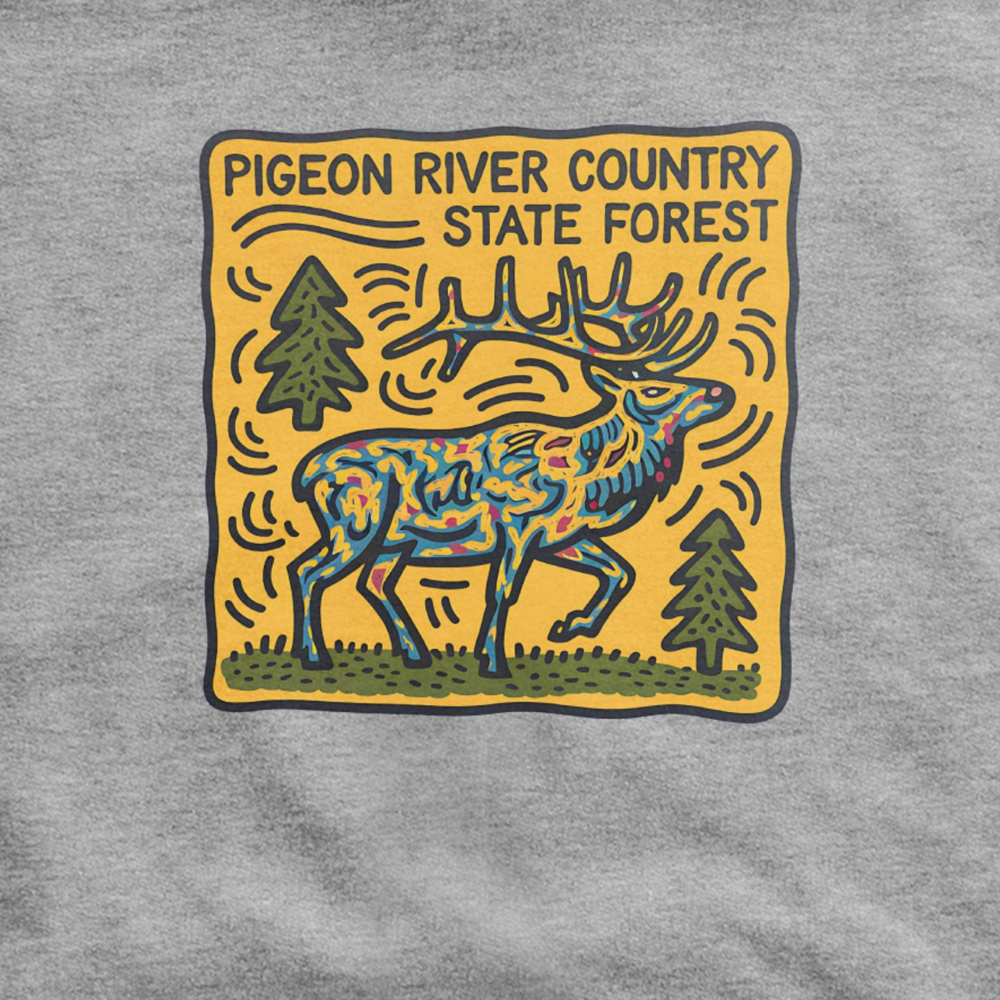 Pigeon River Country State Forest Hoodie Adventure and Outdoors Themed Hoodie