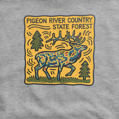 Pigeon River Country State Forest Hoodie Adventure and Outdoors Themed Hoodie