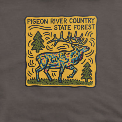 Pigeon River Country State Forest Hoodie Adventure and Outdoors Themed Hoodie
