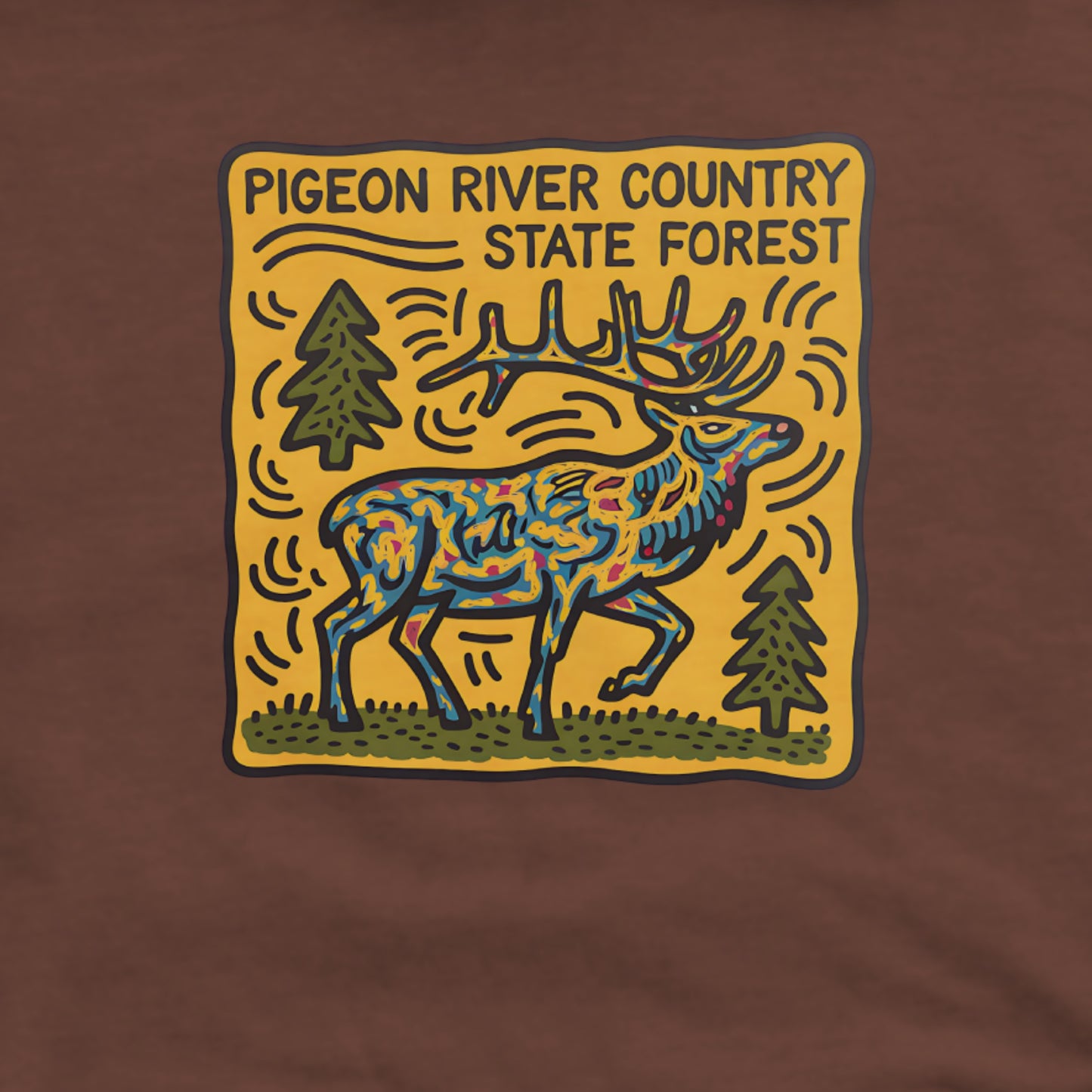 Pigeon River Country State Forest Hoodie Adventure and Outdoors Themed Hoodie
