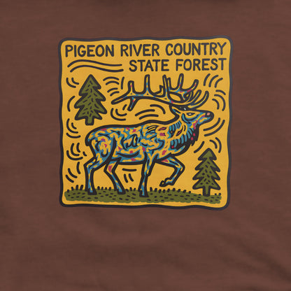 Pigeon River Country State Forest Hoodie Adventure and Outdoors Themed Hoodie