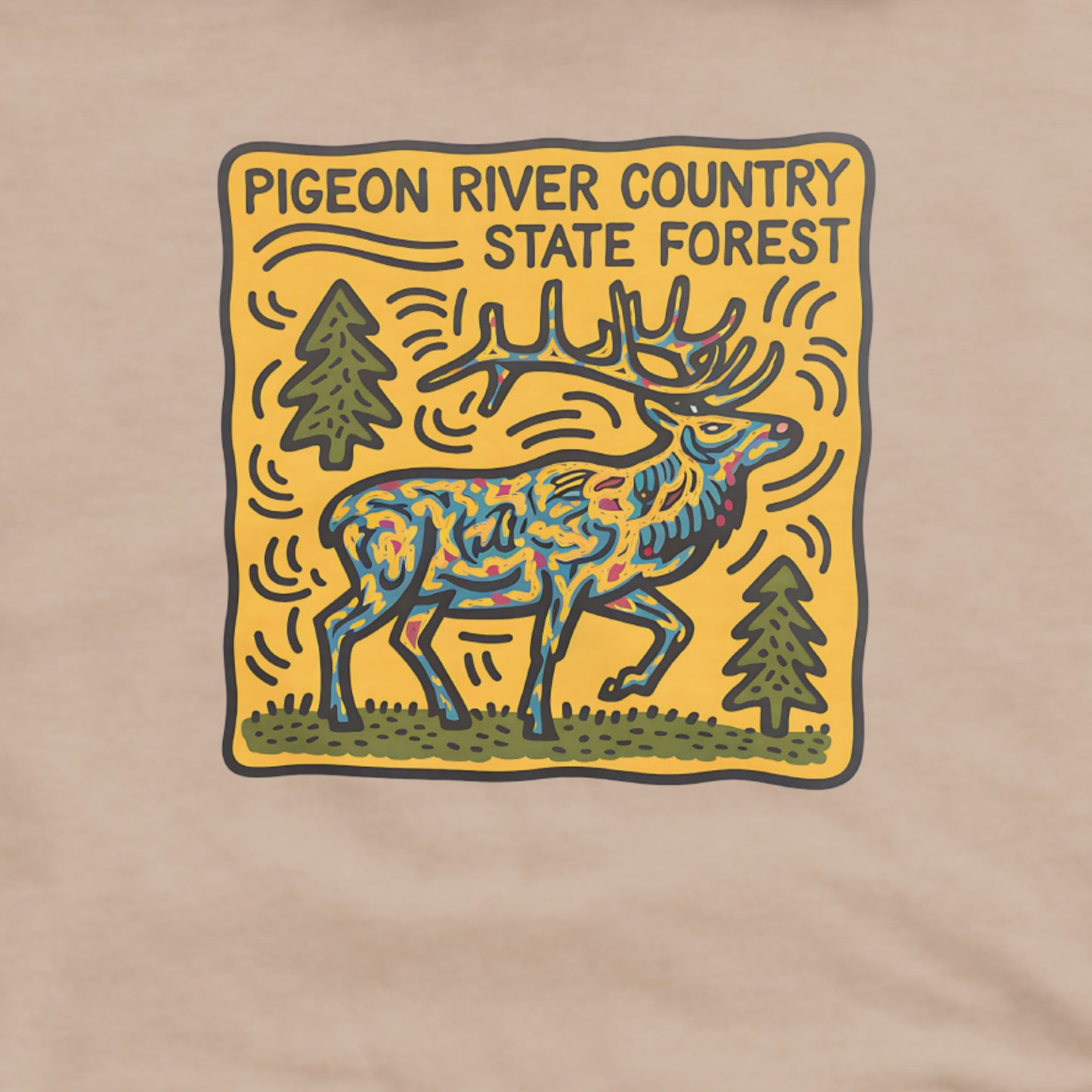 Pigeon River Country State Forest Hoodie Adventure and Outdoors Themed Hoodie