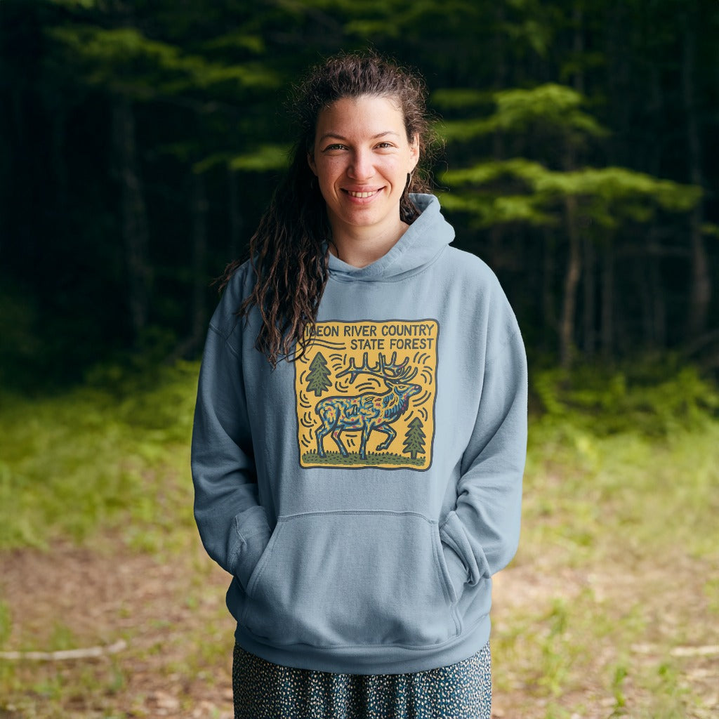 Pigeon River Country State Forest Hoodie Adventure and Outdoors Themed Hoodie