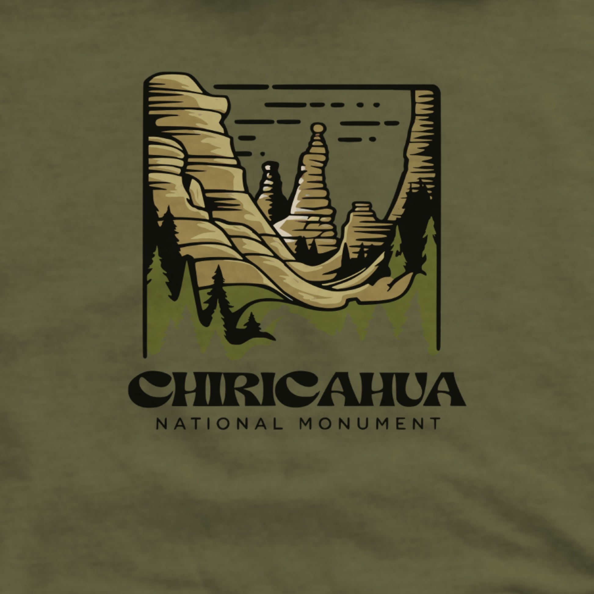 Chiricahua National Monument Hoodie Adventure and Outdoors Themed Hoodie