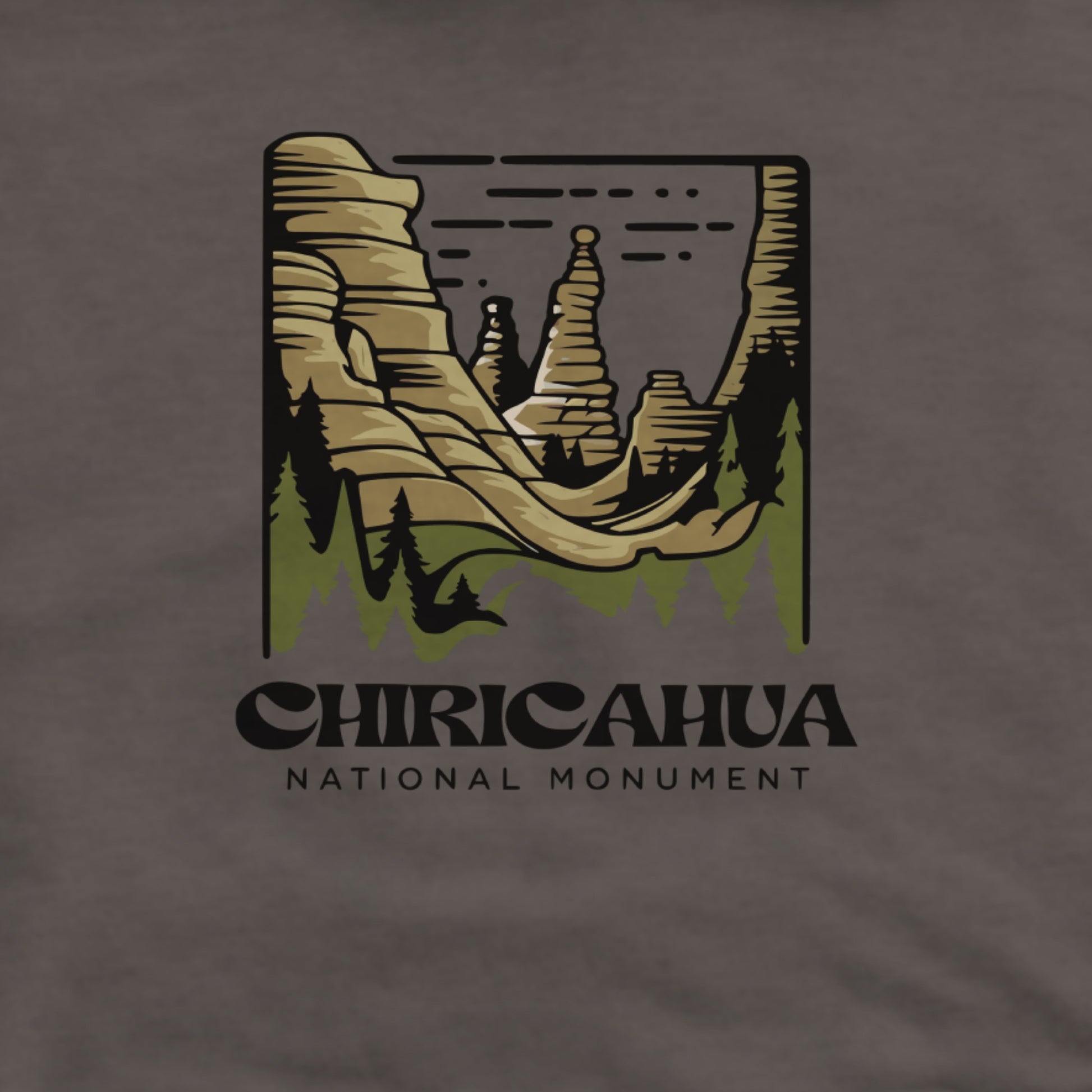 Chiricahua National Monument Hoodie Adventure and Outdoors Themed Hoodie