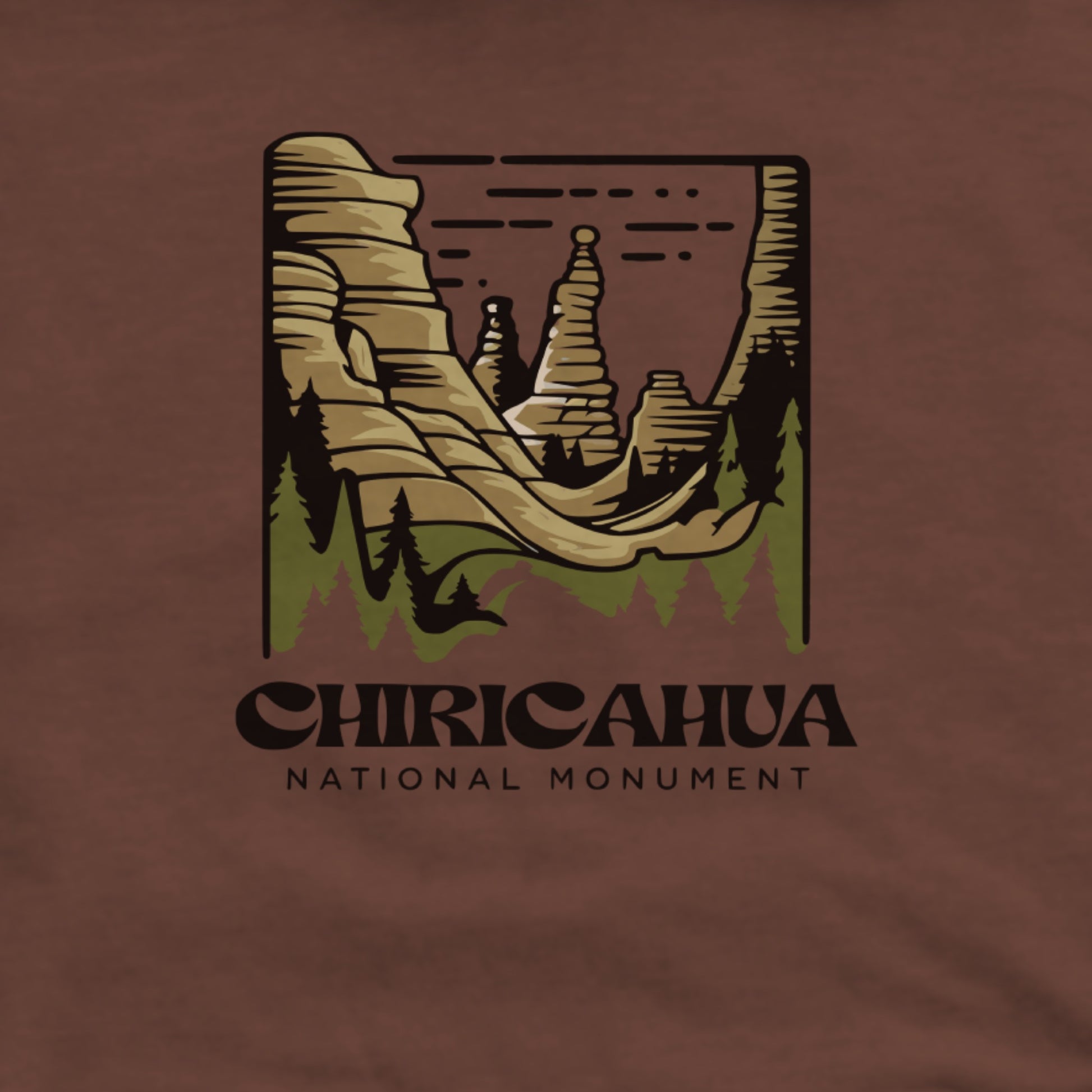Chiricahua National Monument Hoodie Adventure and Outdoors Themed Hoodie