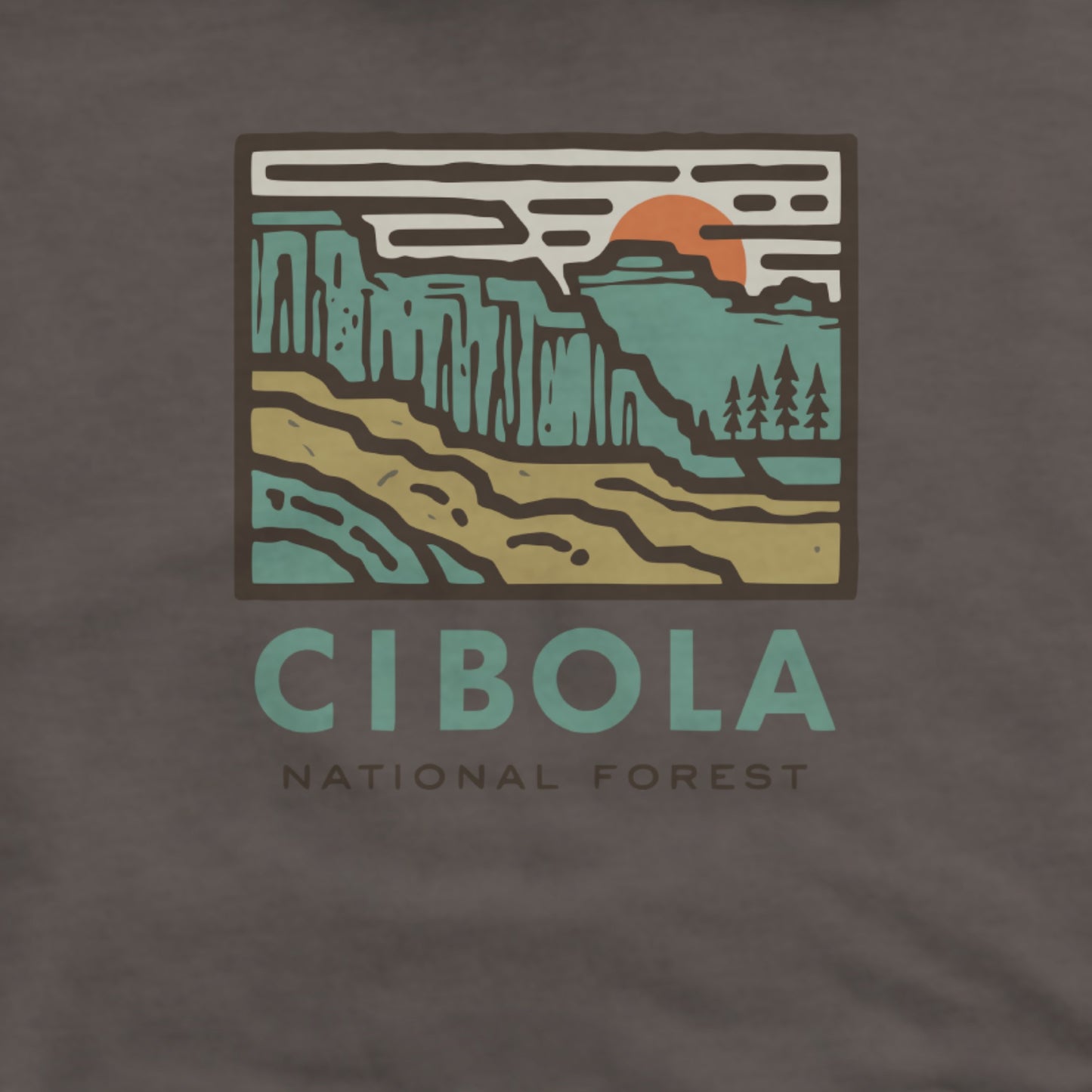 Cibola National Forest Hoodie Adventure and Outdoors Themed Hoodie