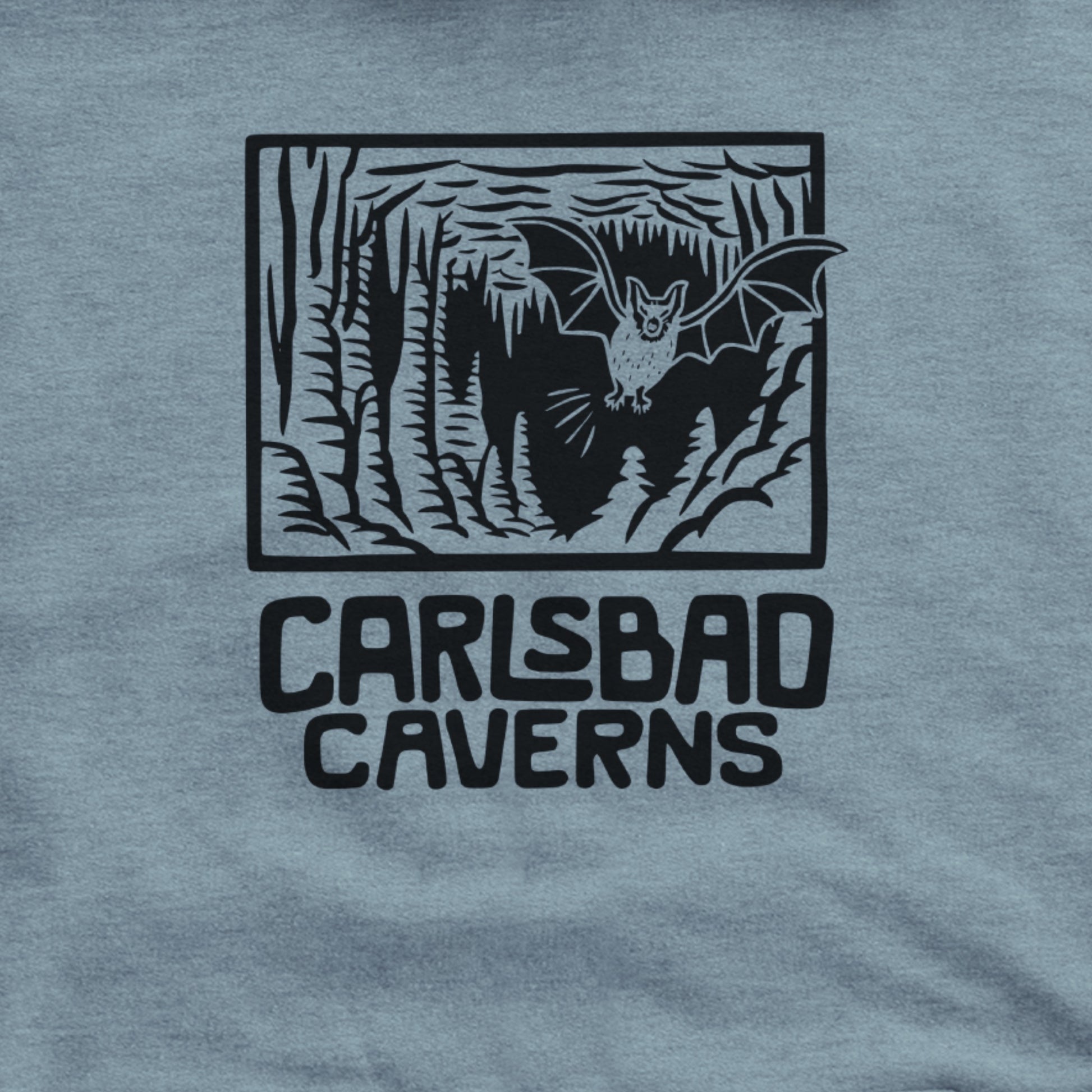 Carlsbad Caverns National Park Hoodie Adventure and Outdoors Themed Hoodie