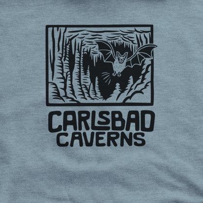 Carlsbad Caverns National Park Hoodie Adventure and Outdoors Themed Hoodie