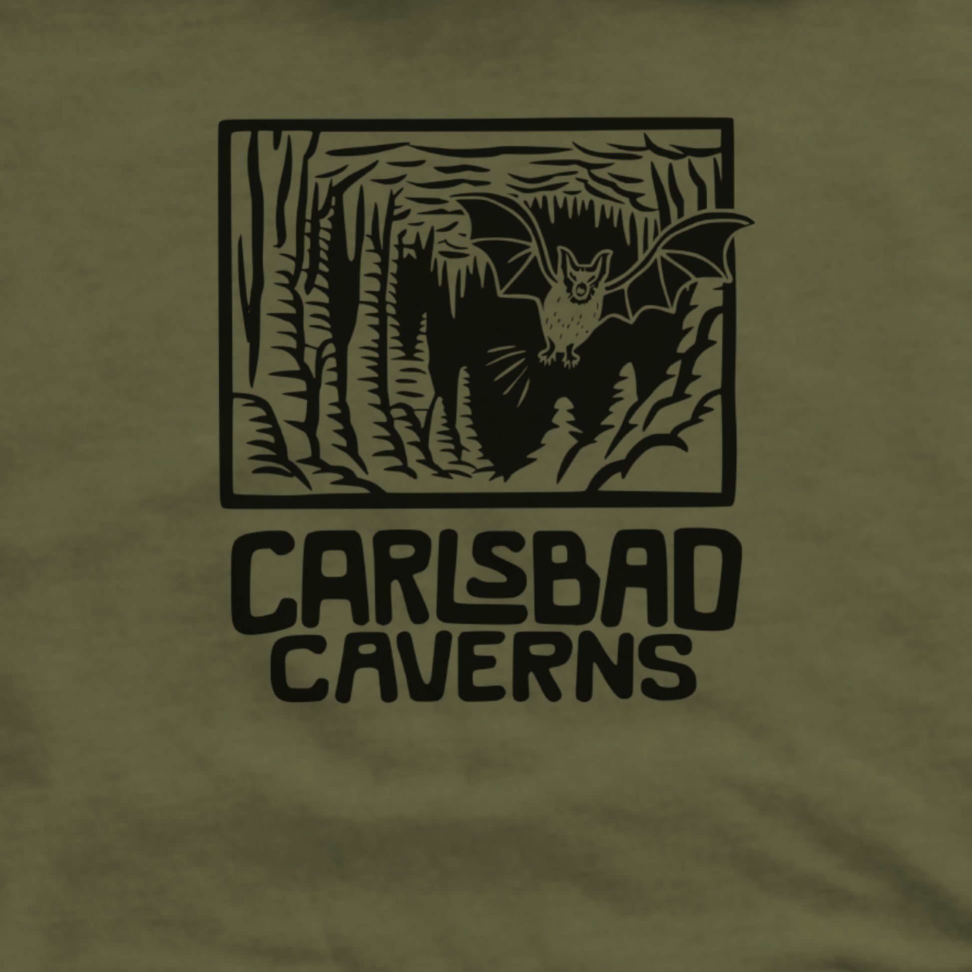 Carlsbad Caverns National Park Hoodie Adventure and Outdoors Themed Hoodie