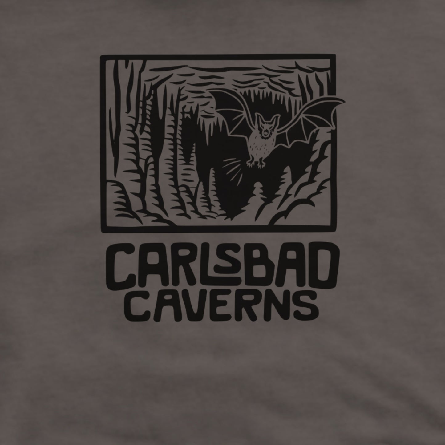 Carlsbad Caverns National Park Hoodie Adventure and Outdoors Themed Hoodie