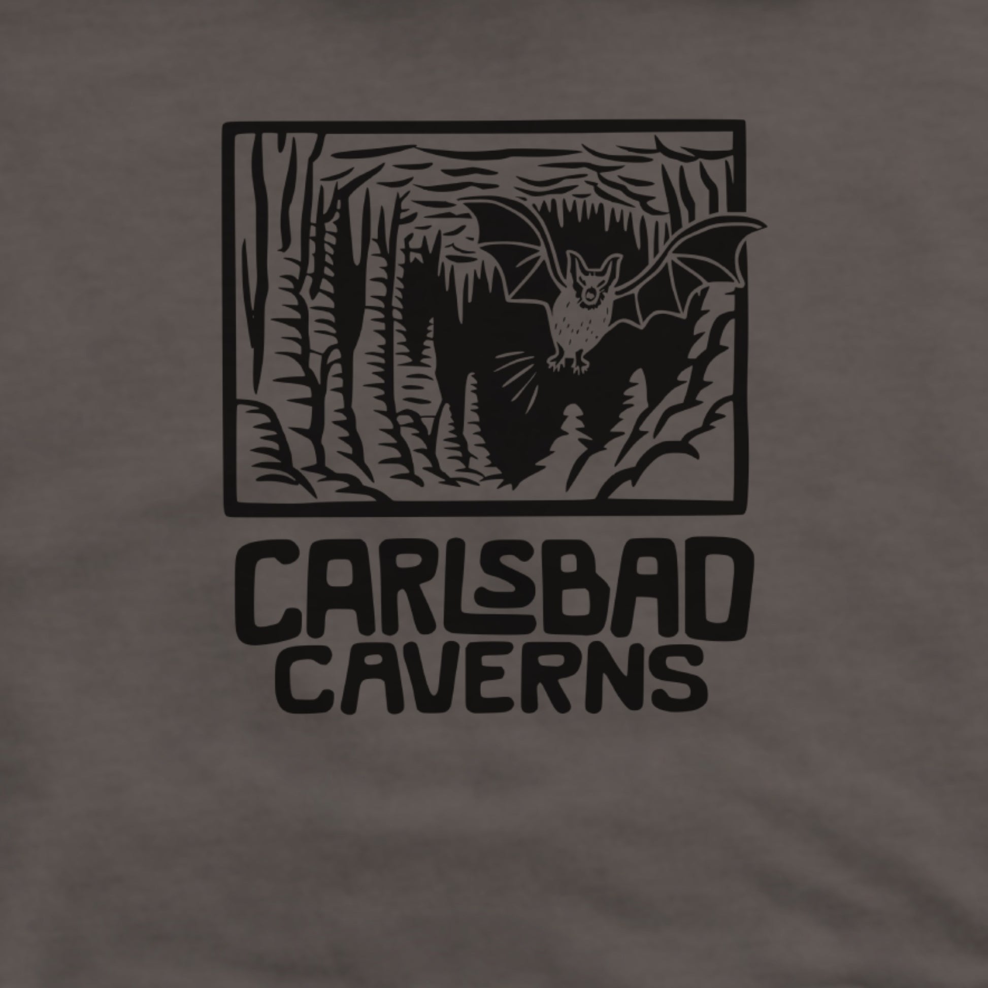 Carlsbad Caverns National Park Hoodie Adventure and Outdoors Themed Hoodie