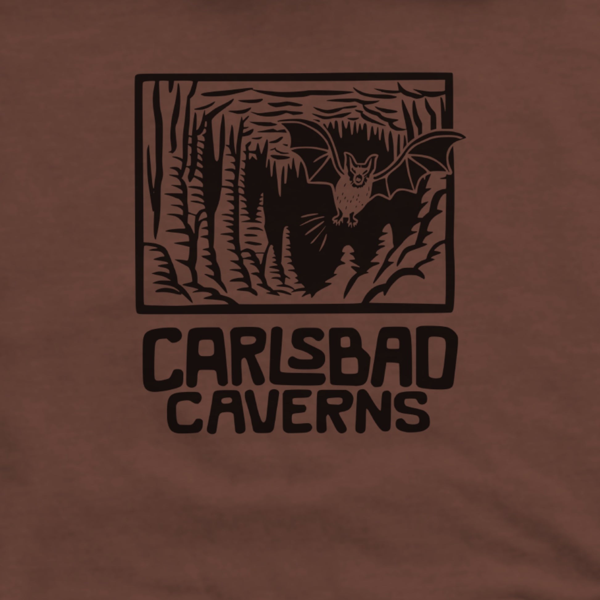 Carlsbad Caverns National Park Hoodie Adventure and Outdoors Themed Hoodie