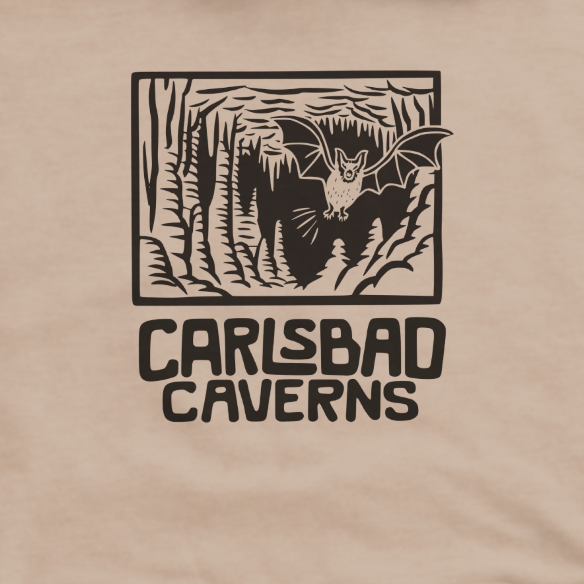 Carlsbad Caverns National Park Hoodie Adventure and Outdoors Themed Hoodie