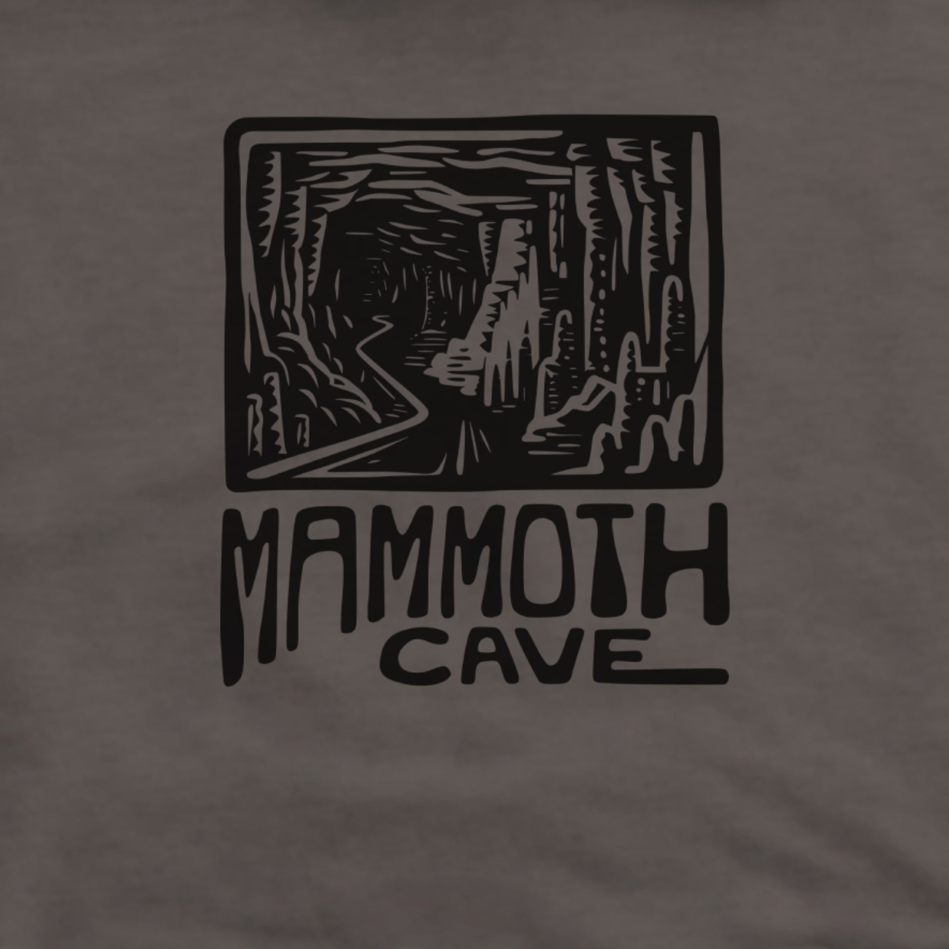 Mammoth Cave National Park Hoodie Adventure and Outdoors Themed Hoodie