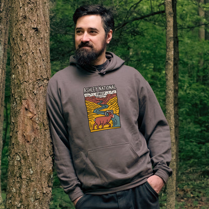 Ashley National Forest Hoodie Adventure and Outdoors Themed Hoodie