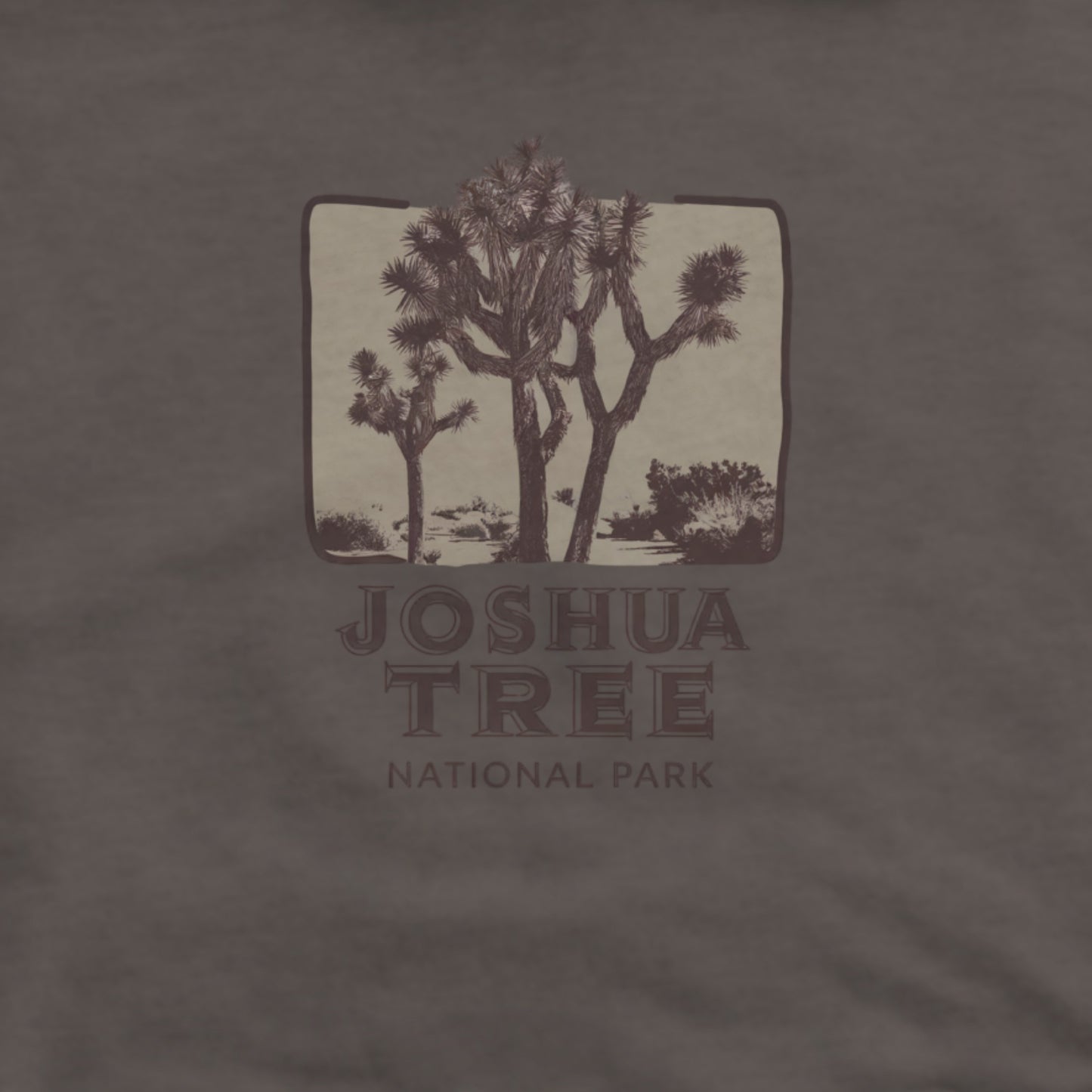 Joshua Tree National Park Vintage Hoodie Adventure and Outdoors Themed Hoodie