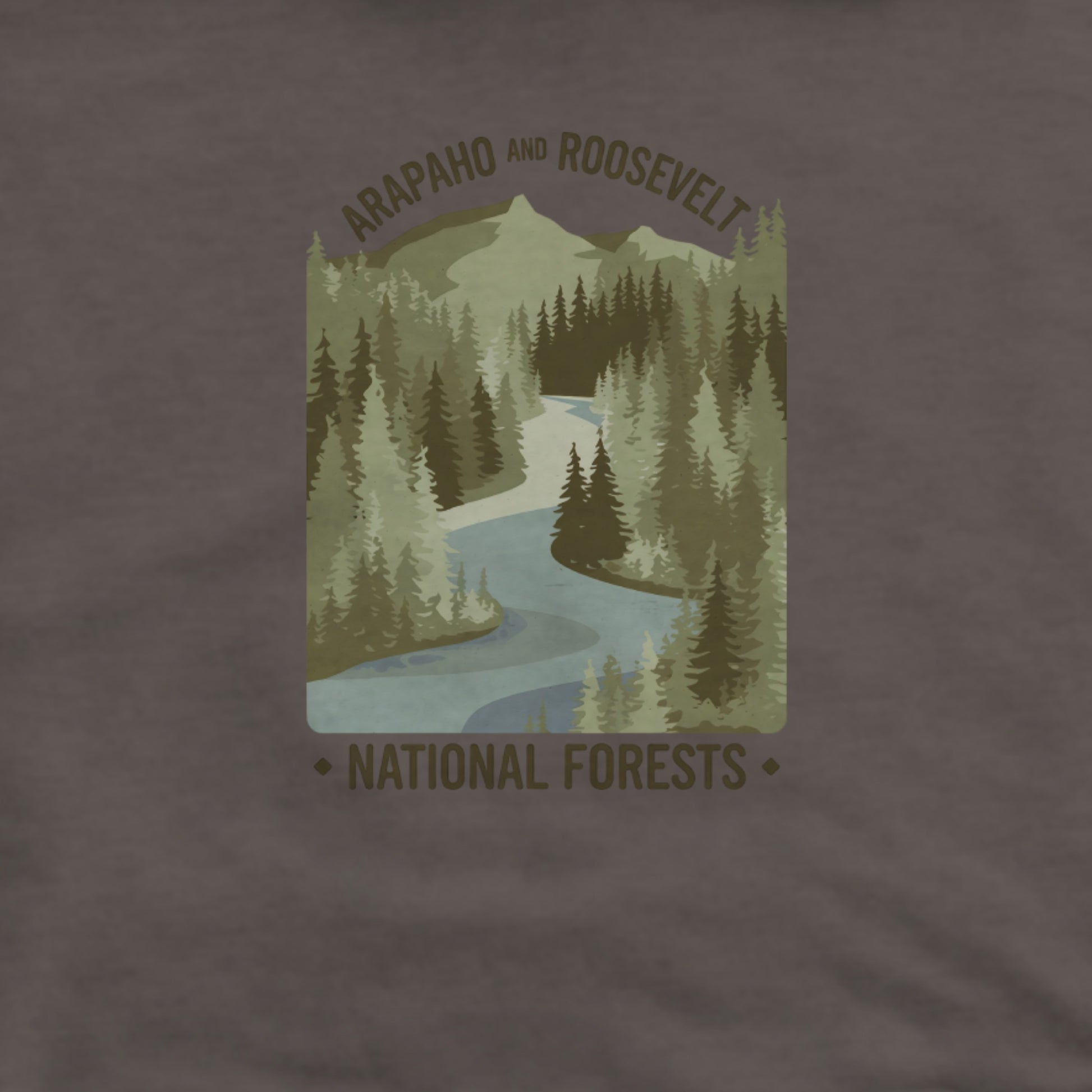Arapaho and Roosevelt National Forests Hoodie Adventure and Outdoors Themed Hoodie