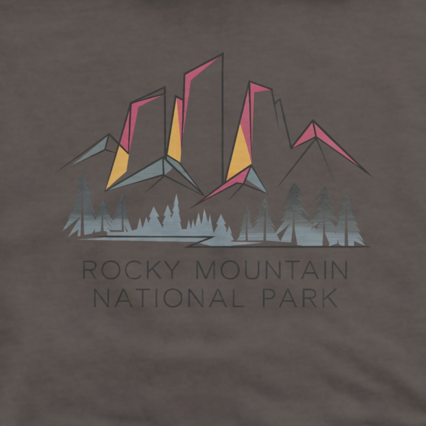 Rocky Mountain National Park Hoodie Adventure and Outdoors Themed Hoodie