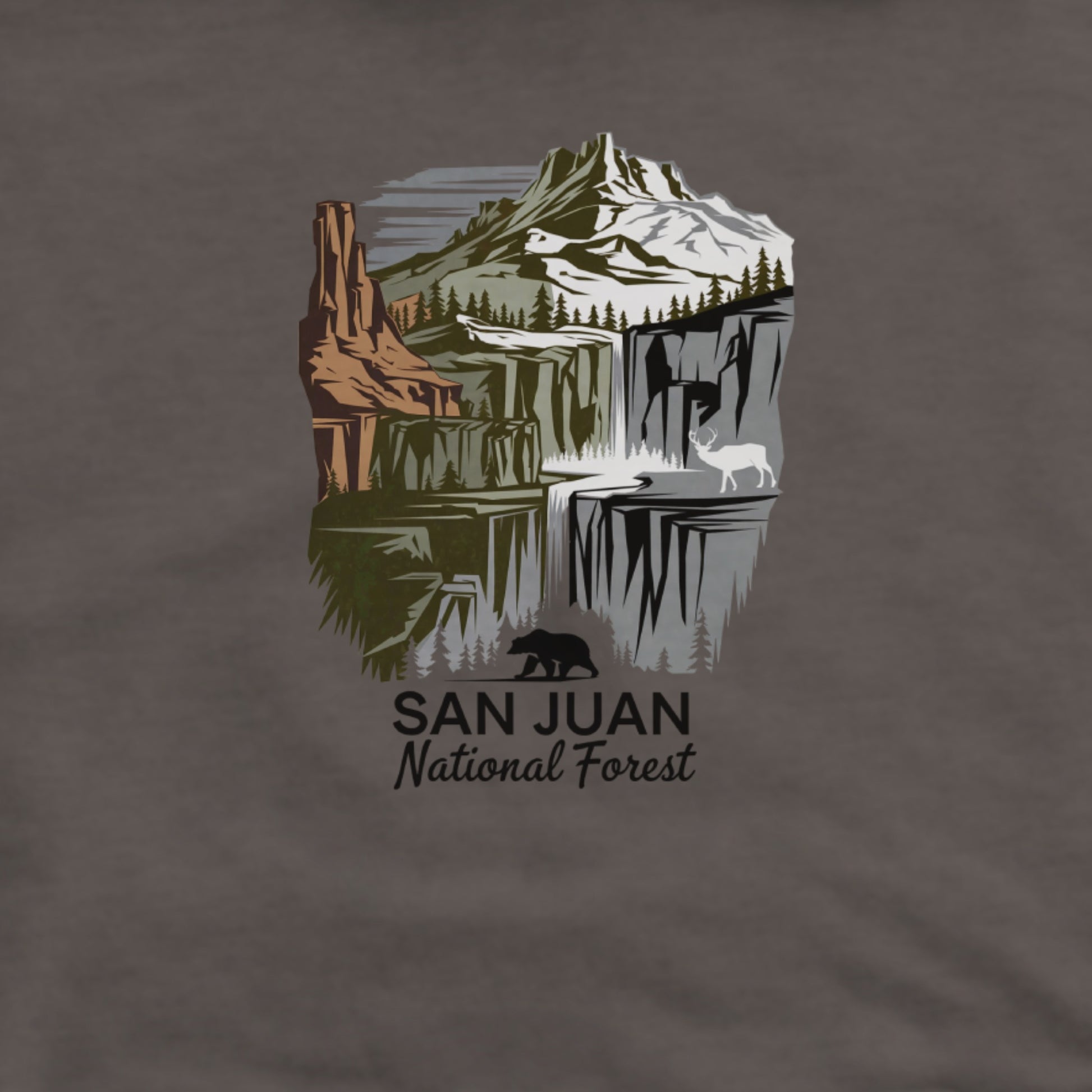 San Juan National Forest Hoodie Adventure and Outdoors Themed Hoodie
