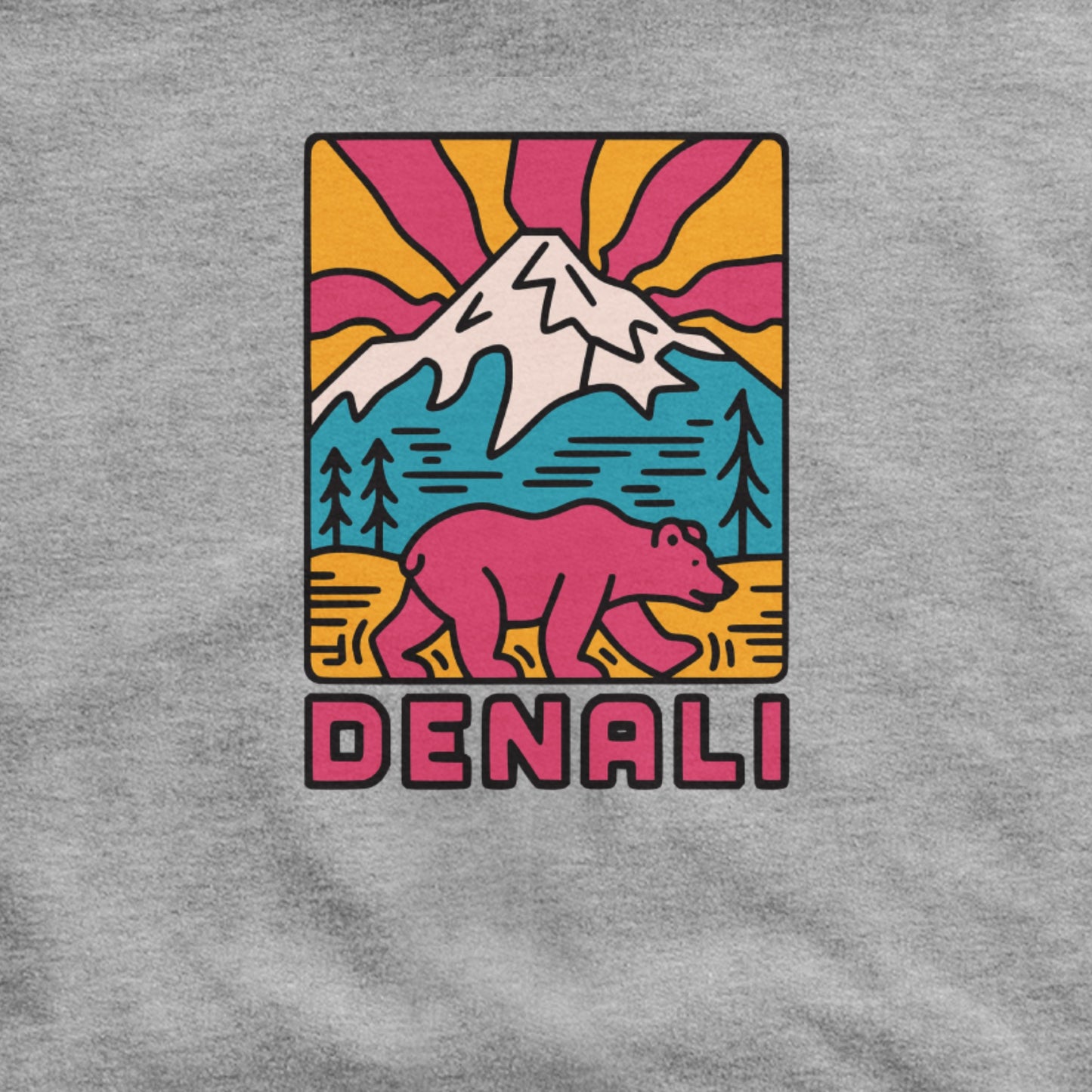 Denali National Park Hoodie Adventure and Outdoors Themed Hoodie
