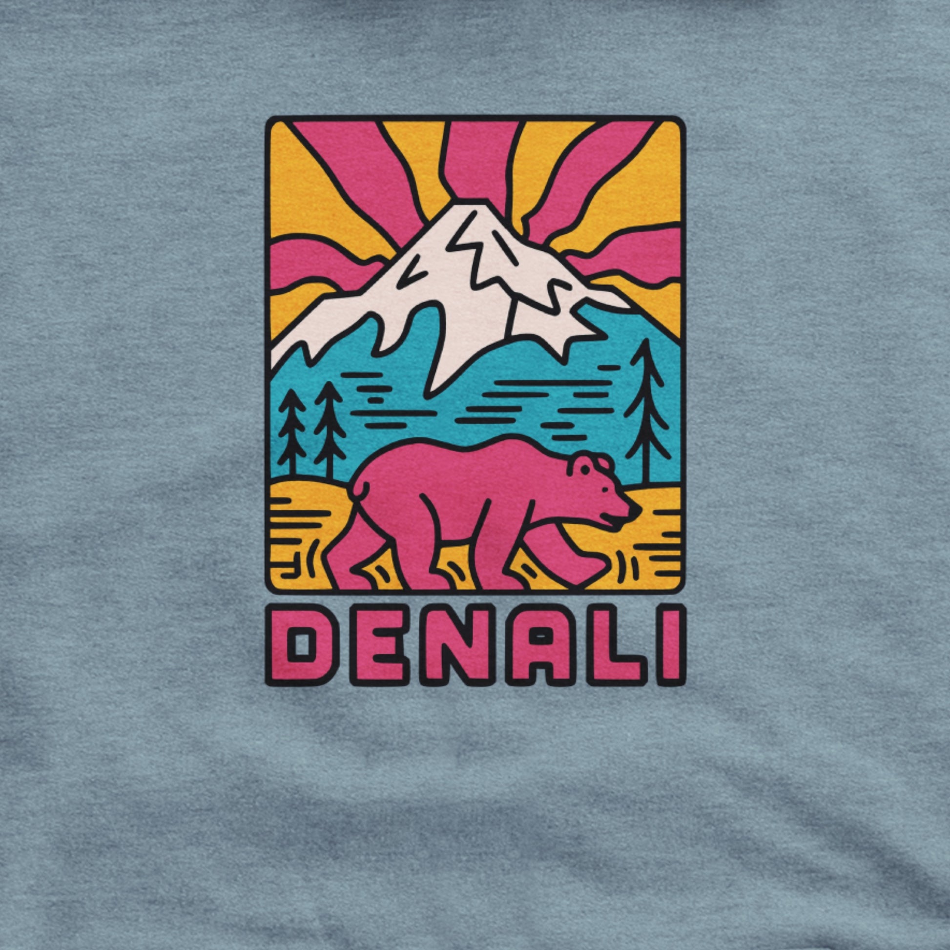 Denali National Park Hoodie Adventure and Outdoors Themed Hoodie