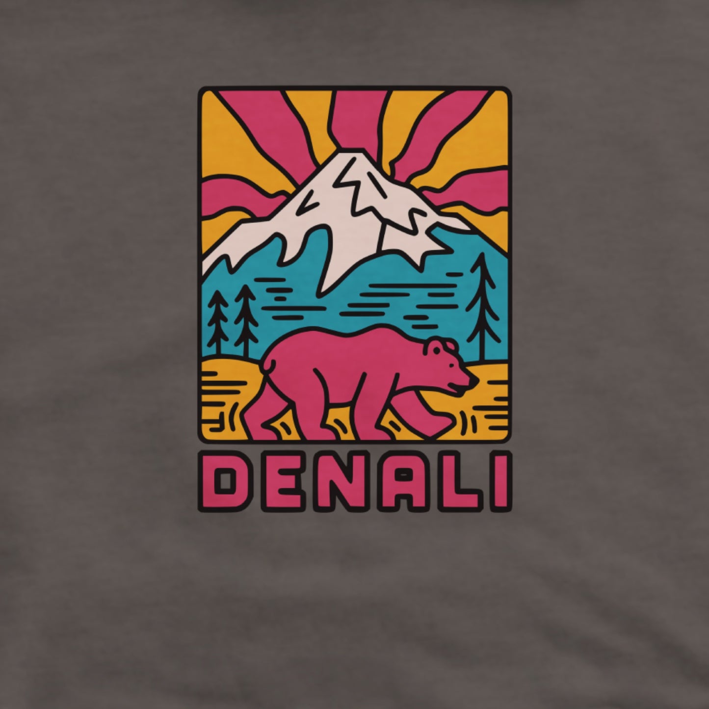 Denali National Park Hoodie Adventure and Outdoors Themed Hoodie