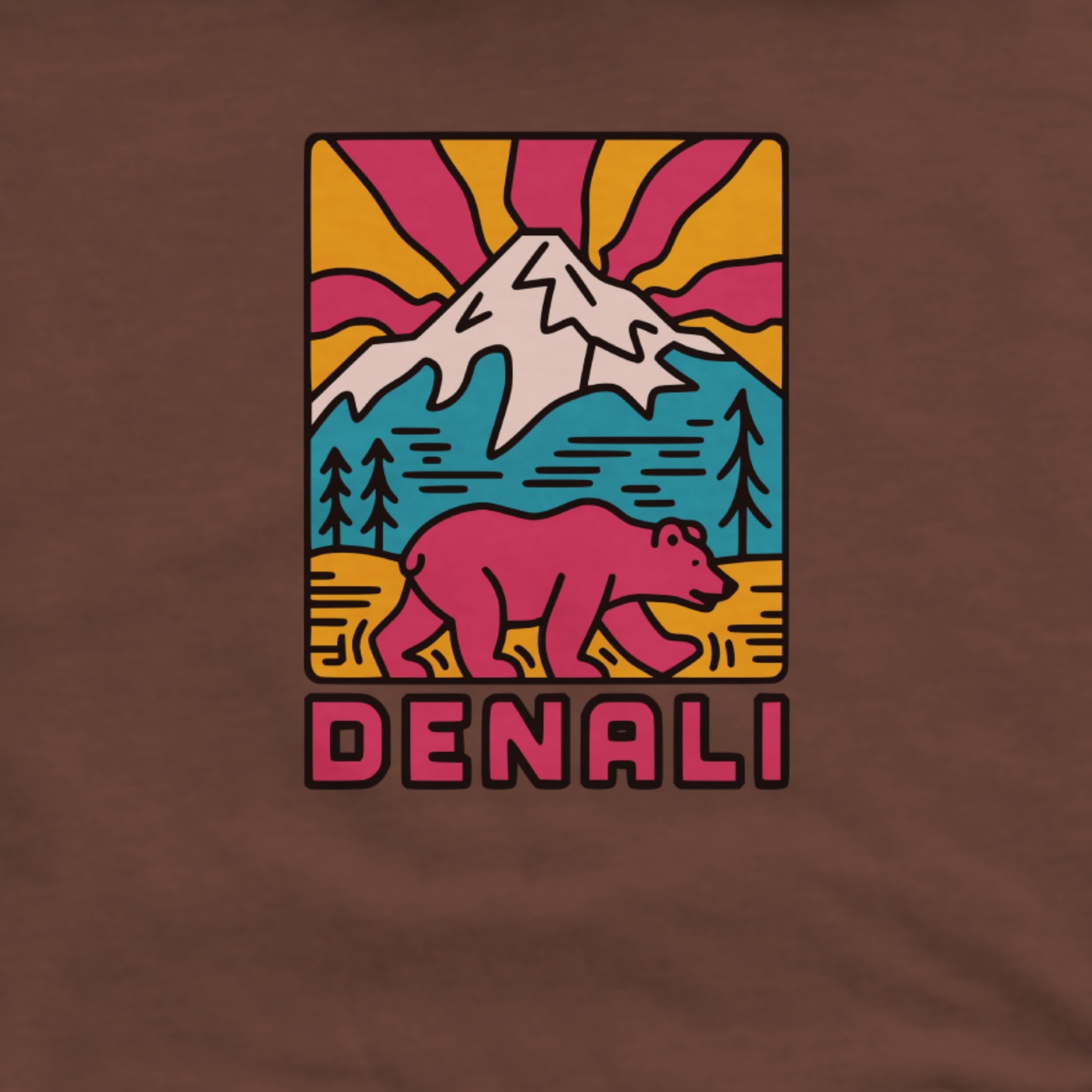Denali National Park Hoodie Adventure and Outdoors Themed Hoodie