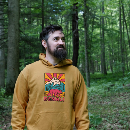 Denali National Park Hoodie Adventure and Outdoors Themed Hoodie