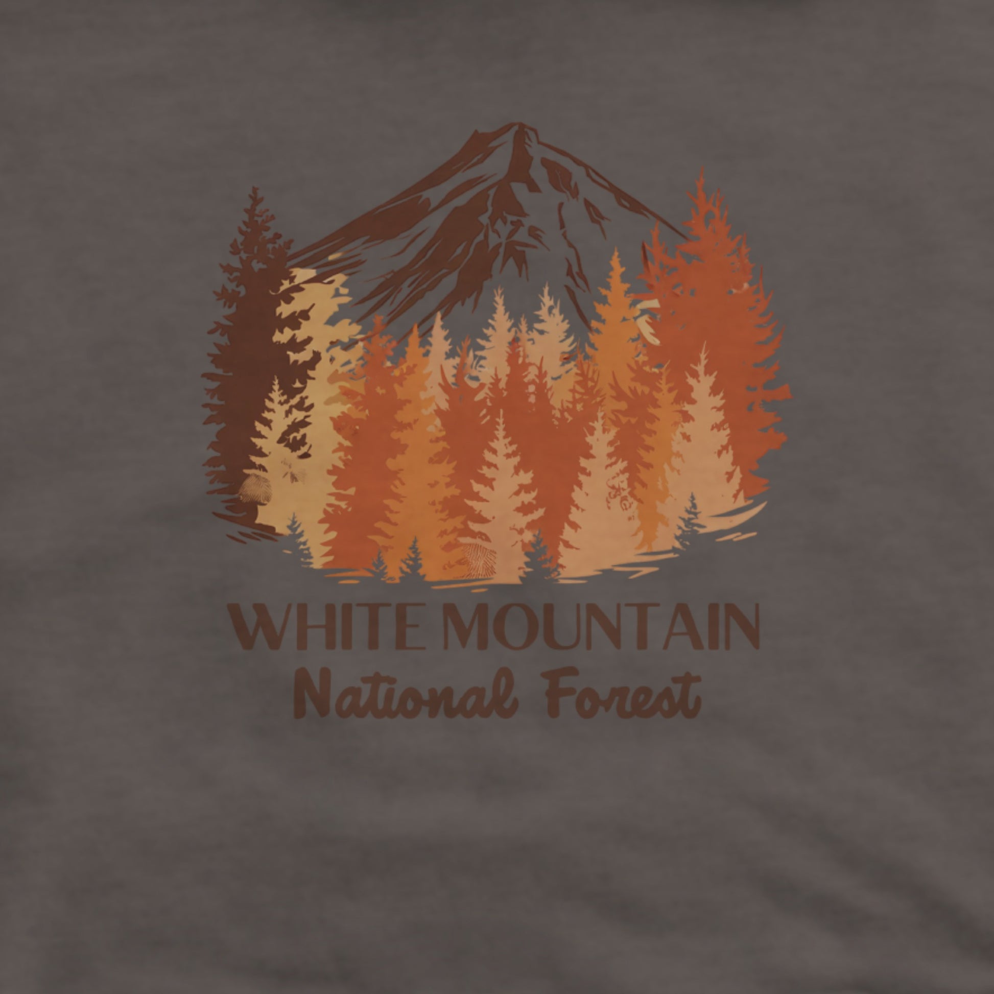 White Mountain National Forest Hoodie Adventure and Outdoors Themed Hoodie