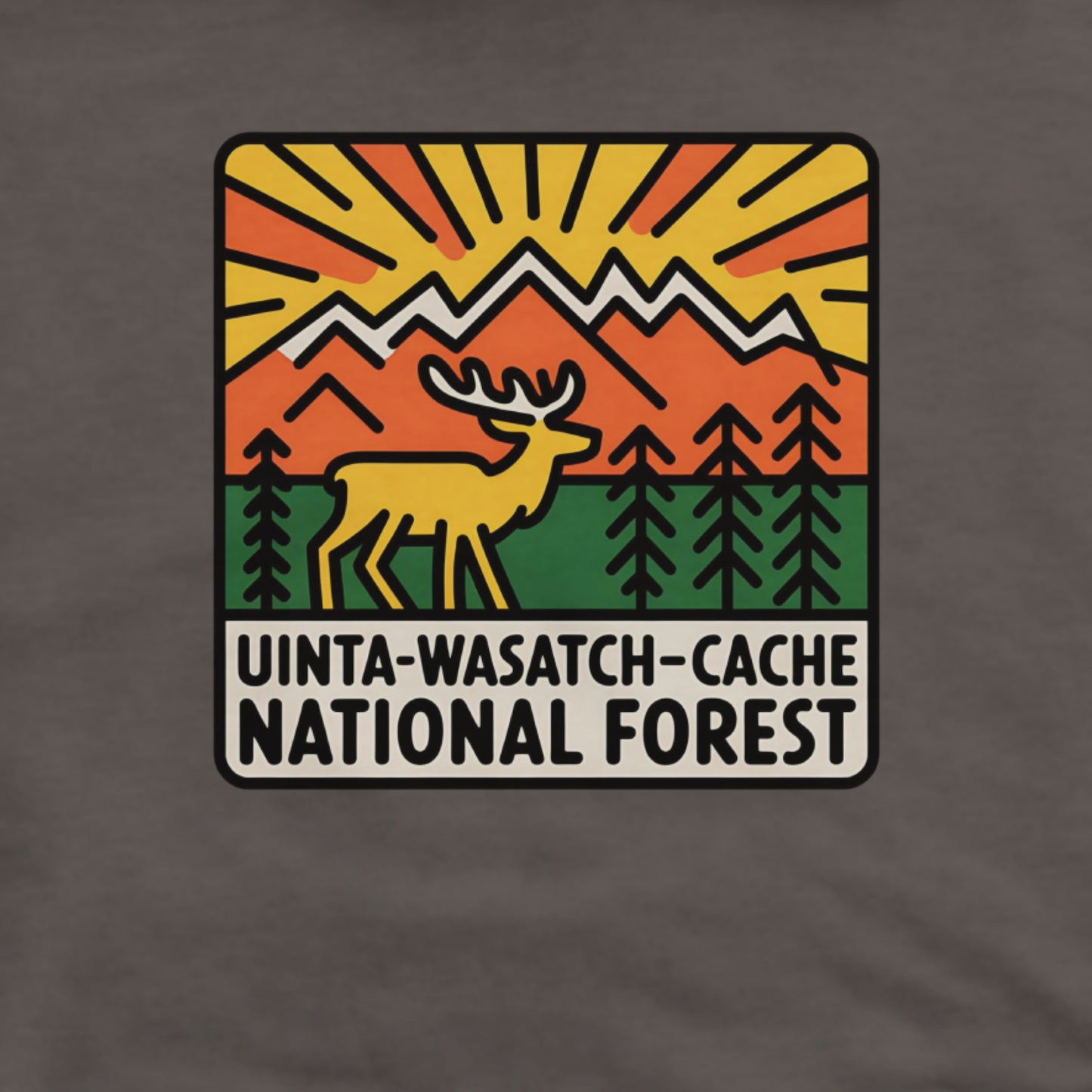 Uinta-Wasatch-Cache National Forest Hoodie Adventure and Outdoors Themed Hoodie