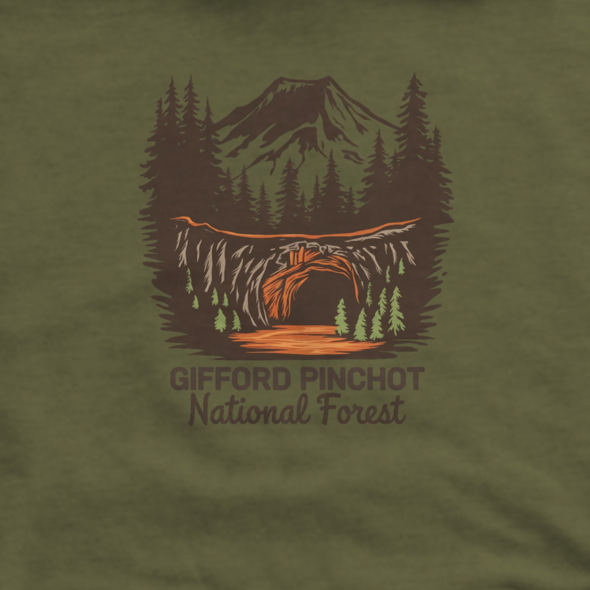 Gifford Pinchot National Forest Hoodie Adventure and Outdoors Themed Hoodie